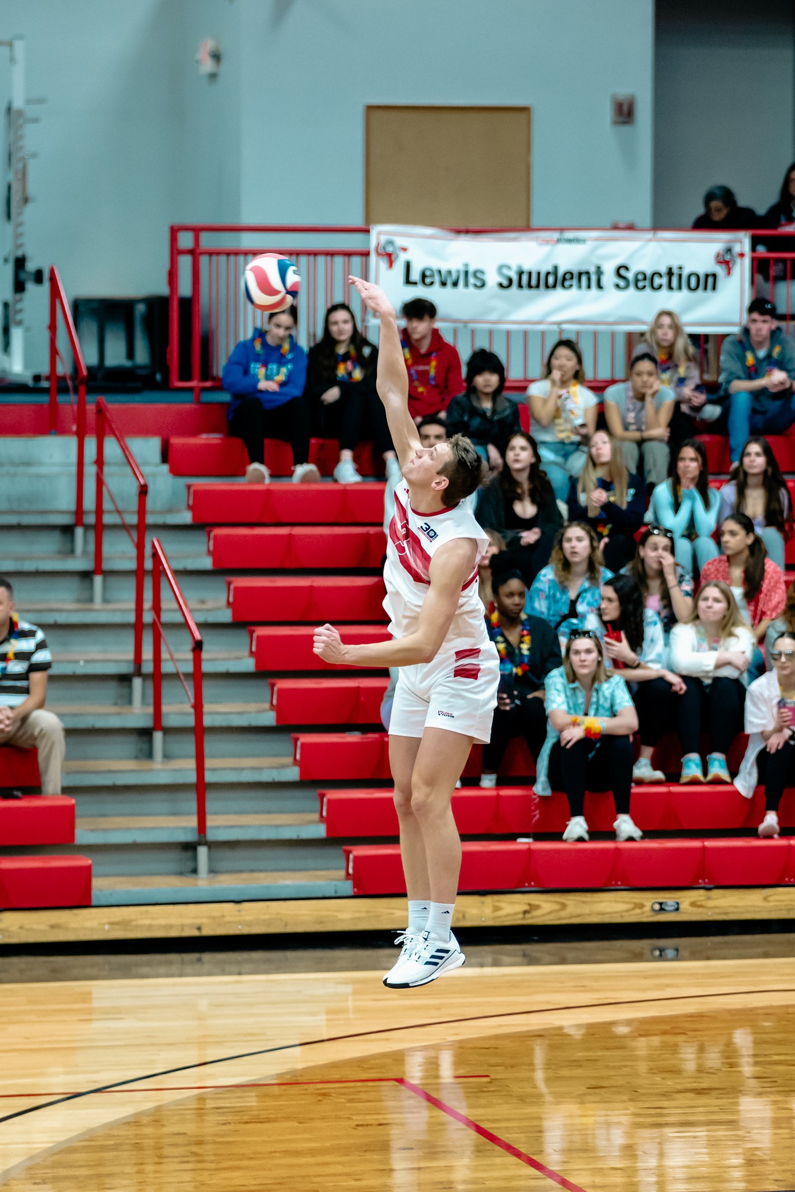 2024 Men's VB - Lewis vs Lindenwood