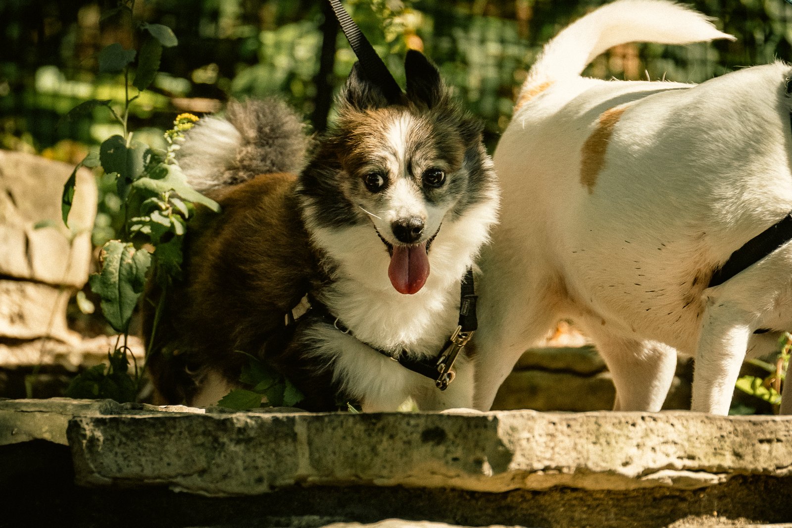 Bruno & Beni - Sep 9