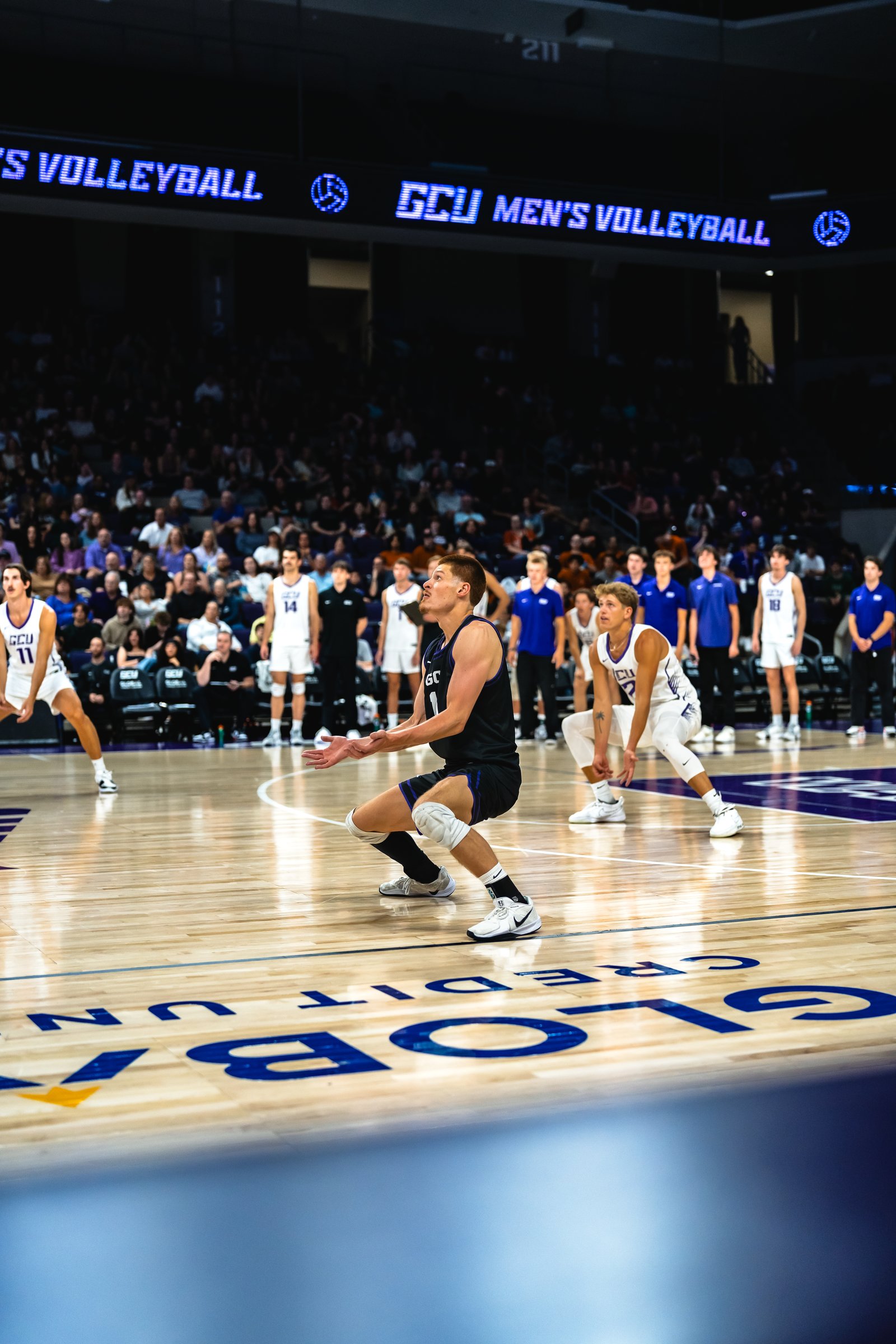 GCU vs UCLA