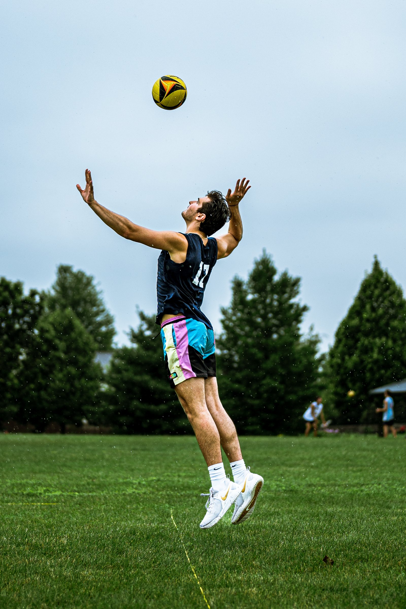 Bell Pepper Open – Official Gallery - Jan 1