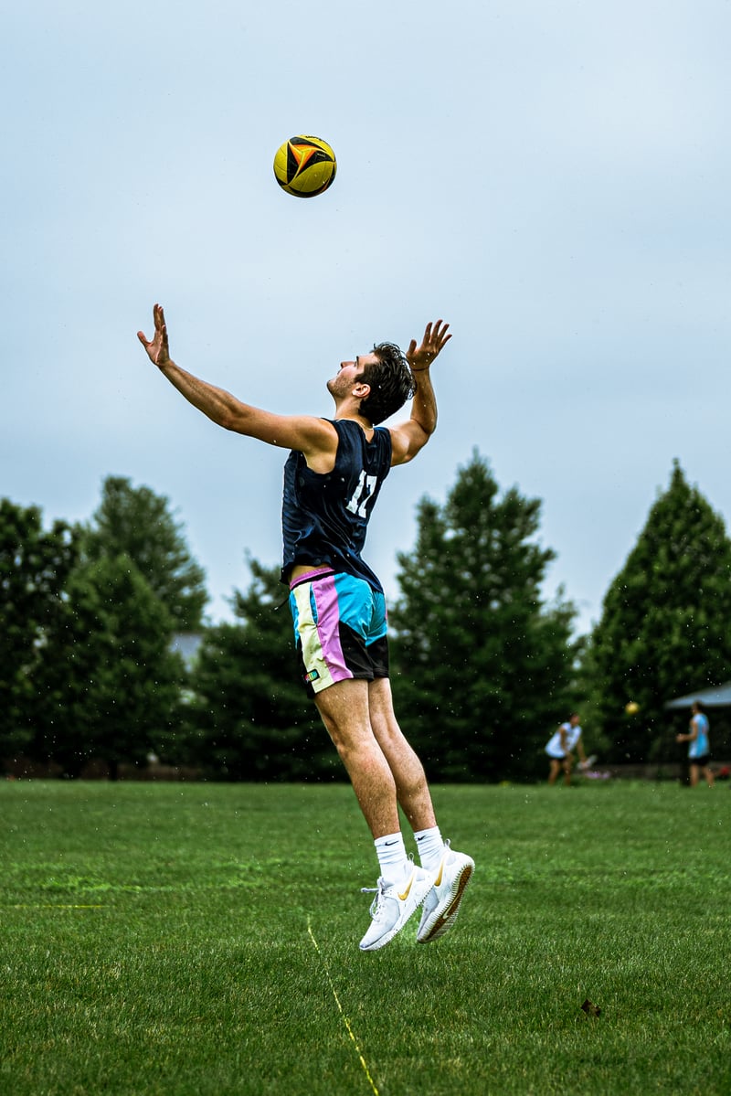 Bell Pepper Open – Official Gallery - Jan 1 cover