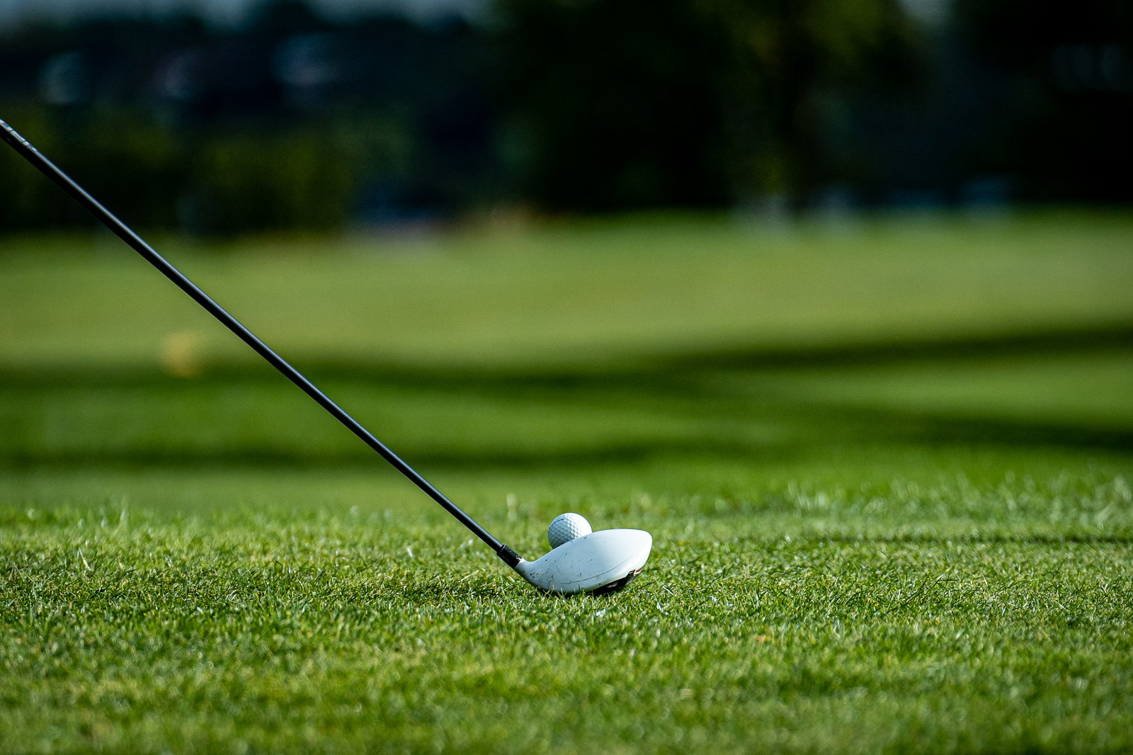 ACC Boys Golf - Sep 13