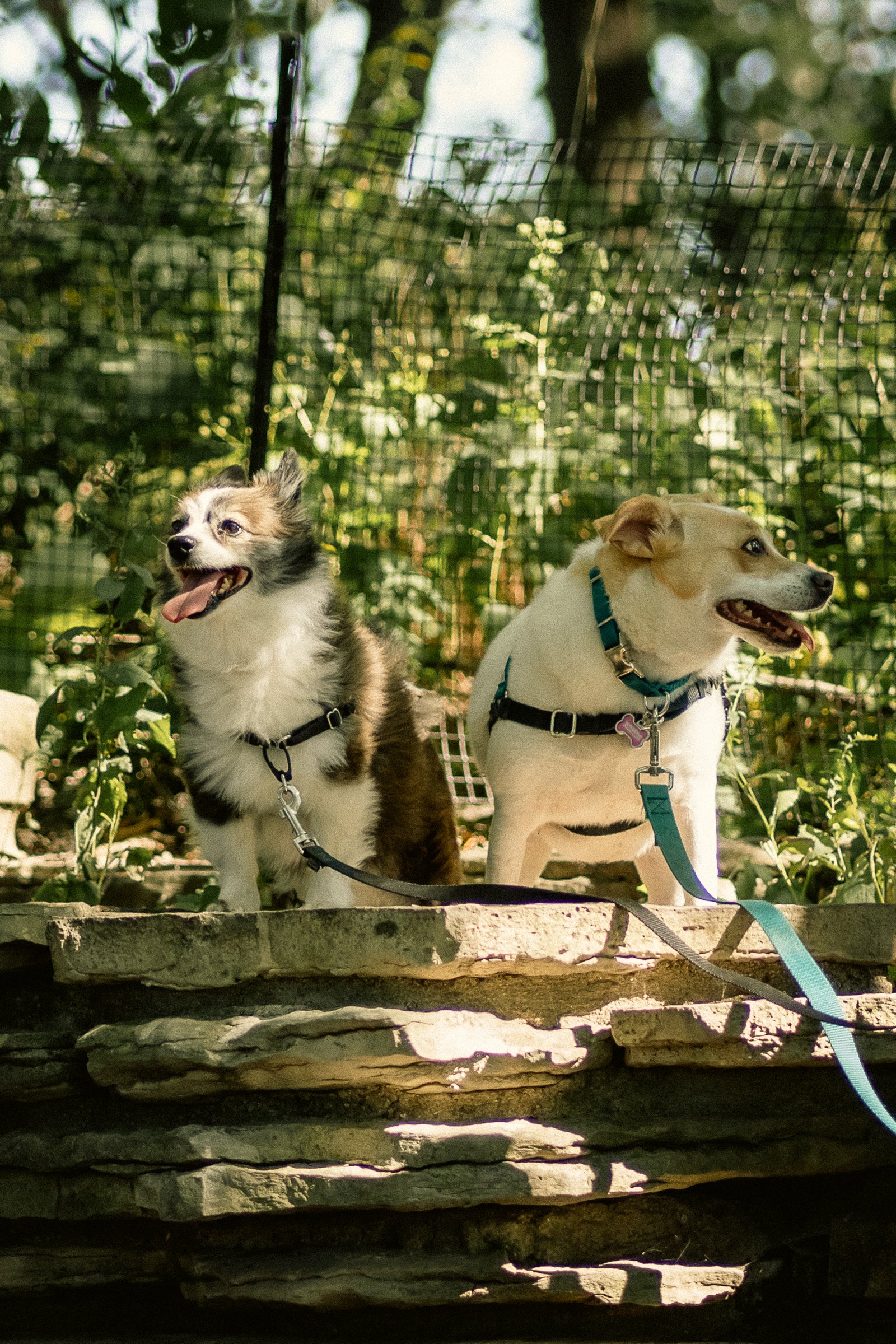 Bruno & Beni - Sep 9