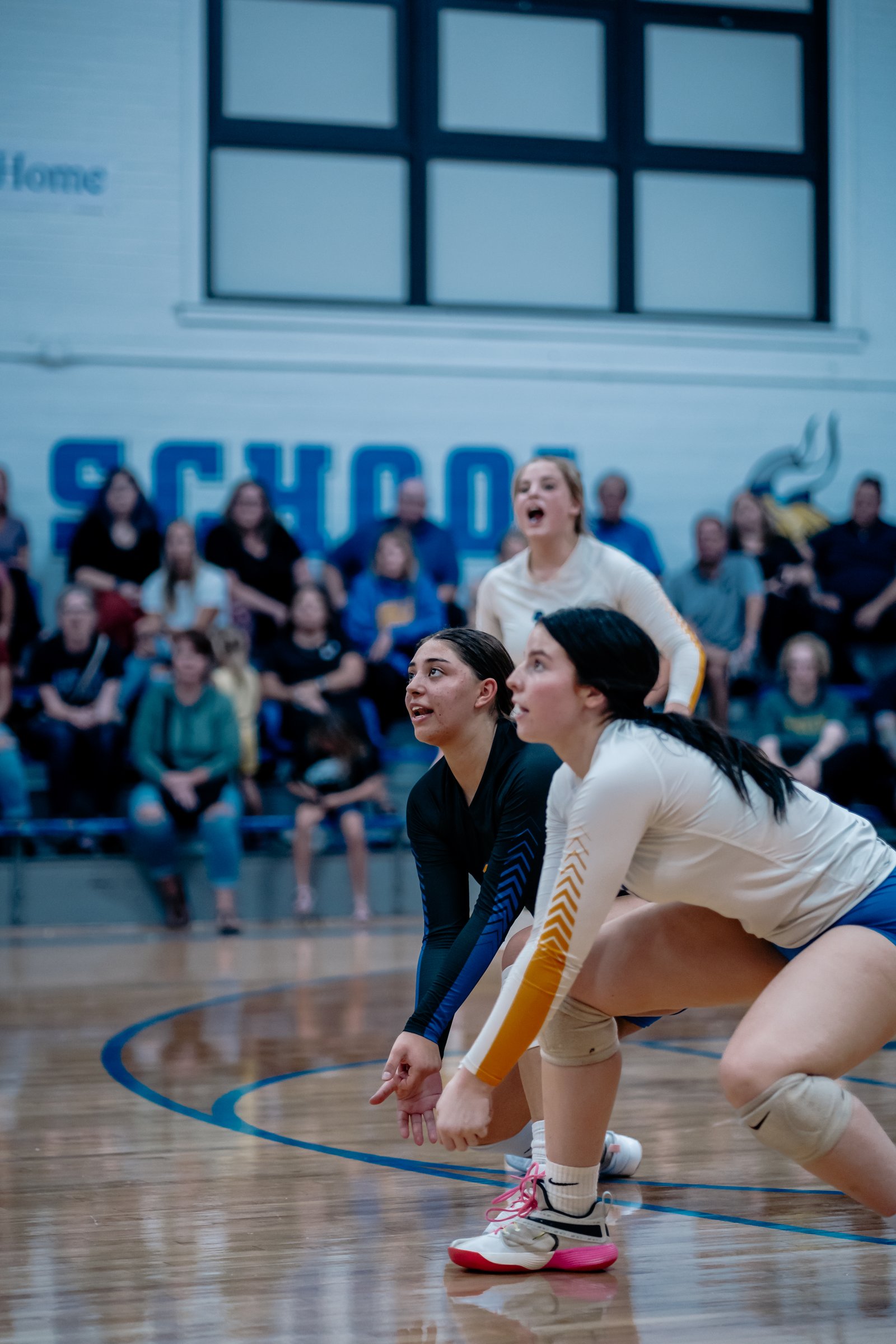 ACC Volleyball at Newark
