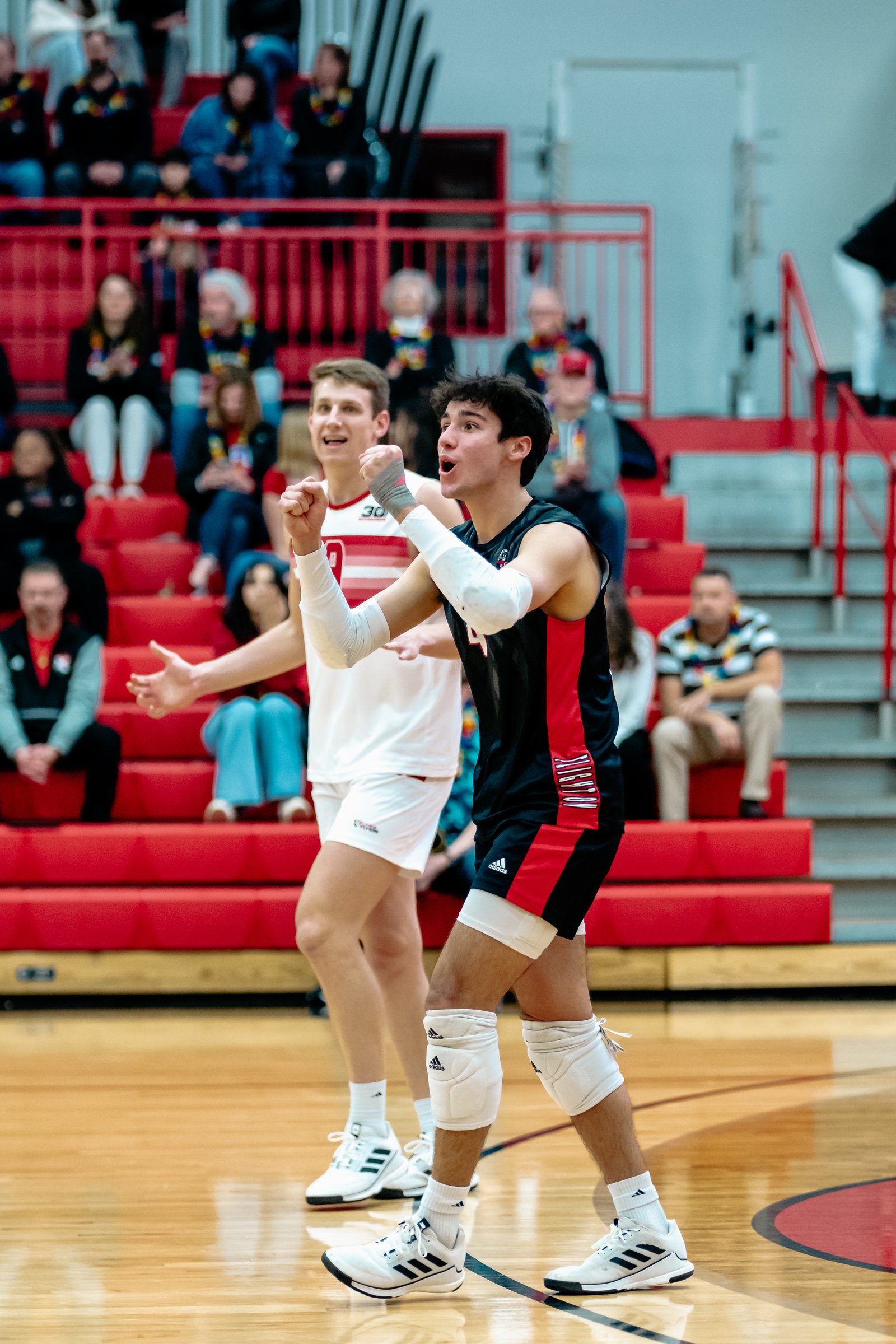 2024 Men's VB - Lewis vs Lindenwood