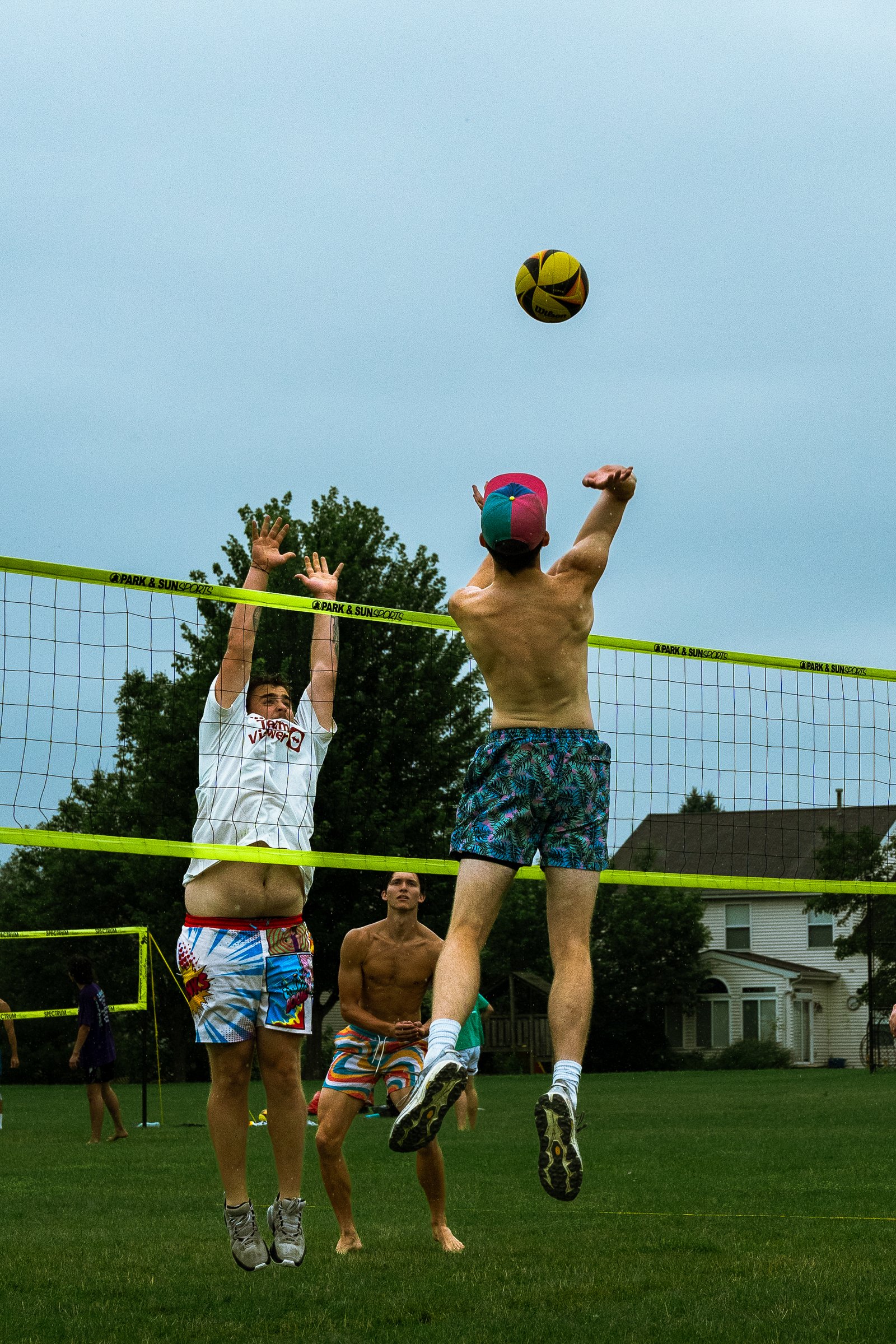 Bell Pepper Open – Official Gallery - Jan 1