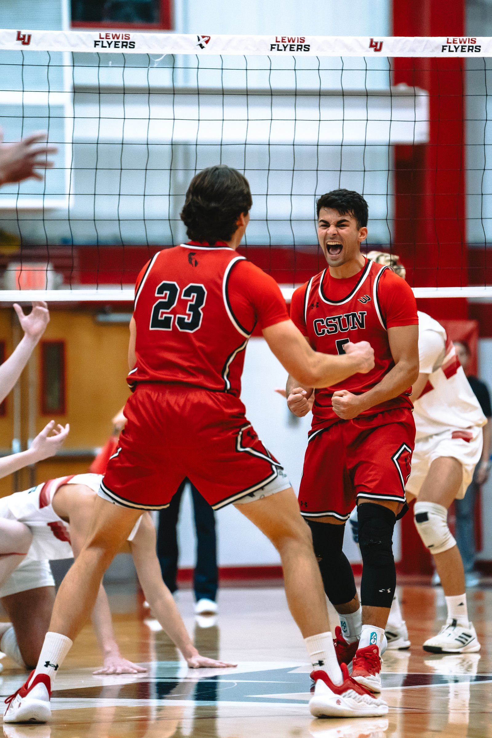 Lewis Flyers vs CSUN