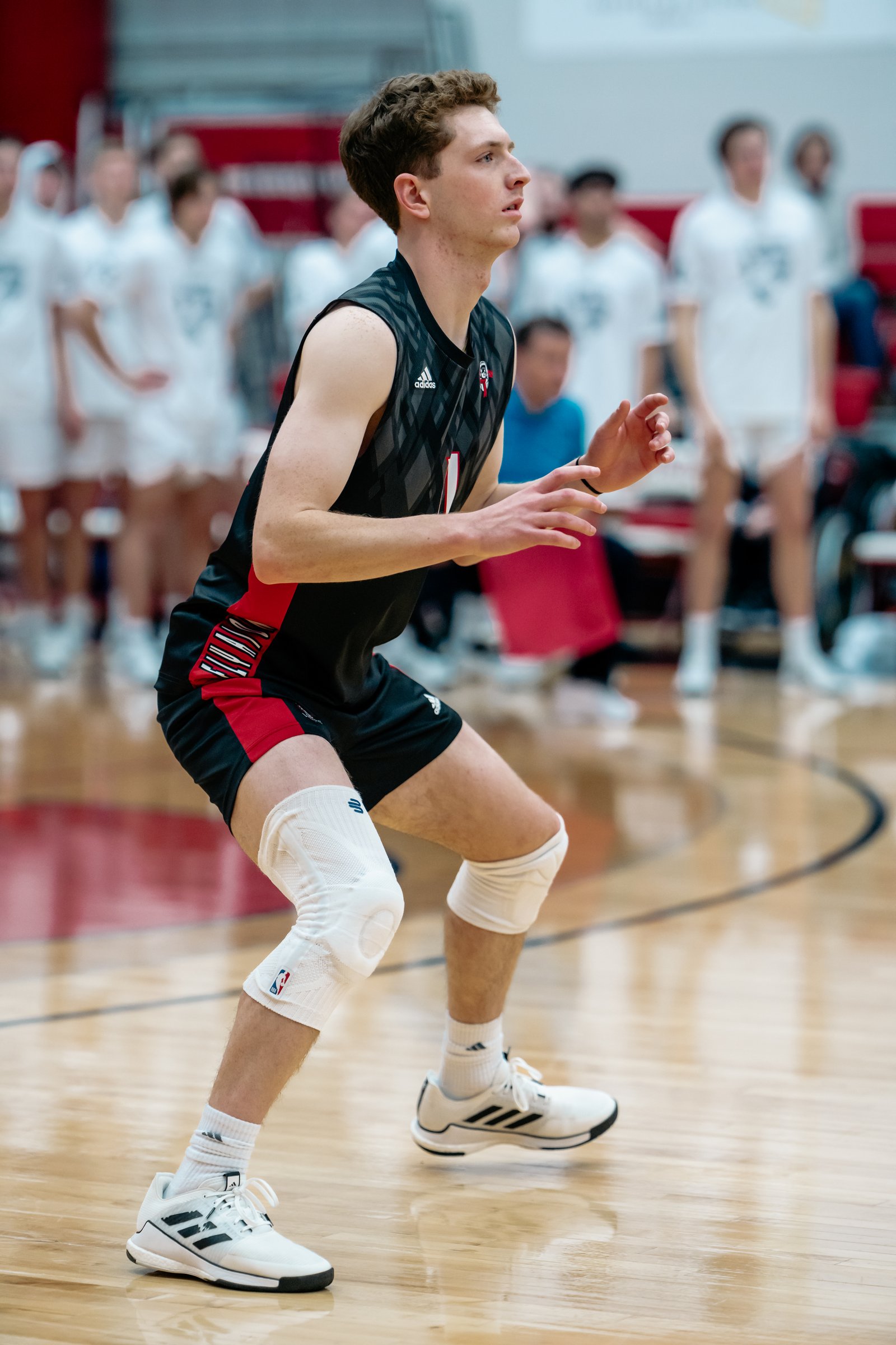 2024 Men's VB - Lewis vs Merrimack