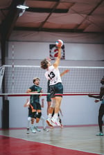 8VbNGZj