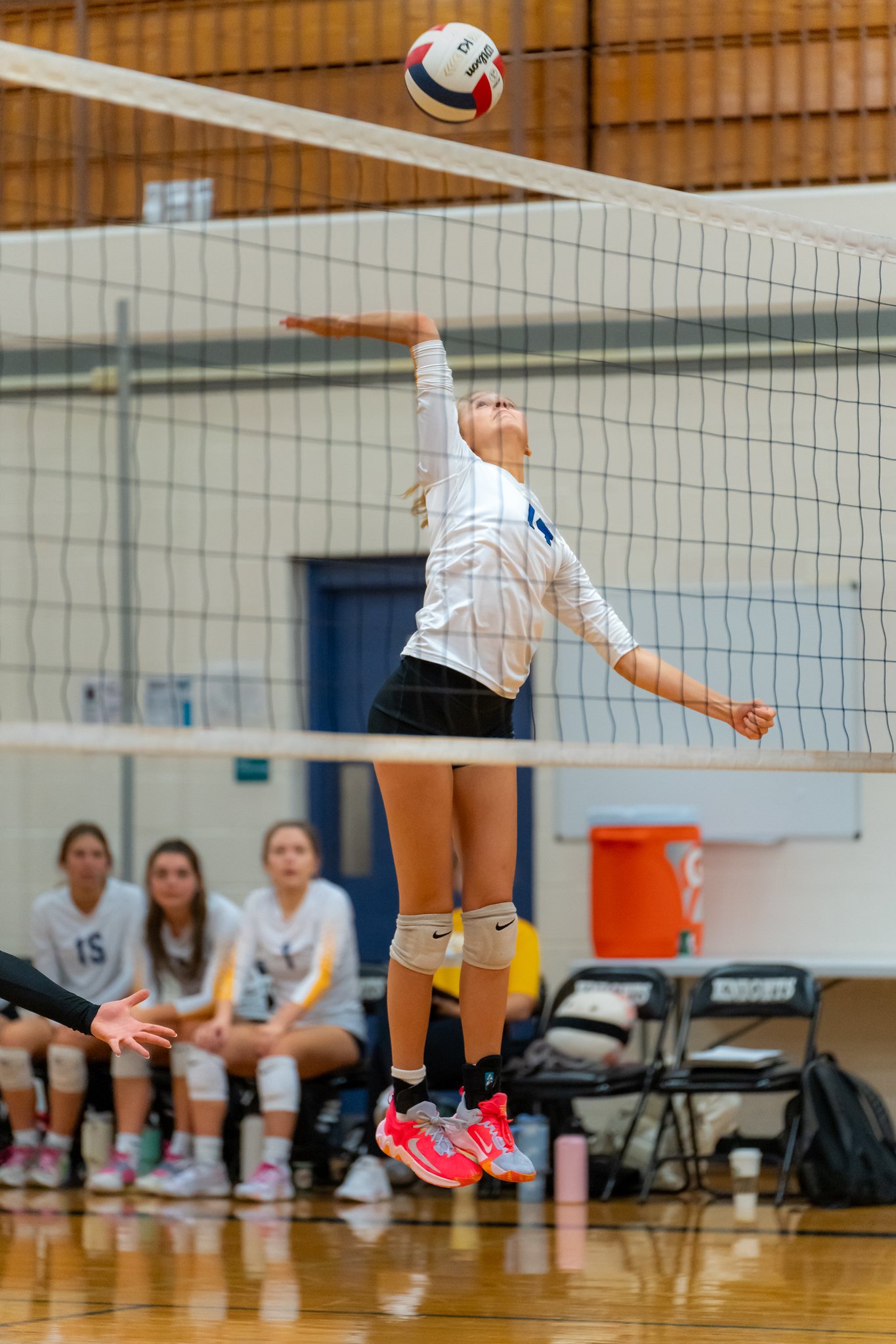 ACC Volleyball at Kaneland Invite