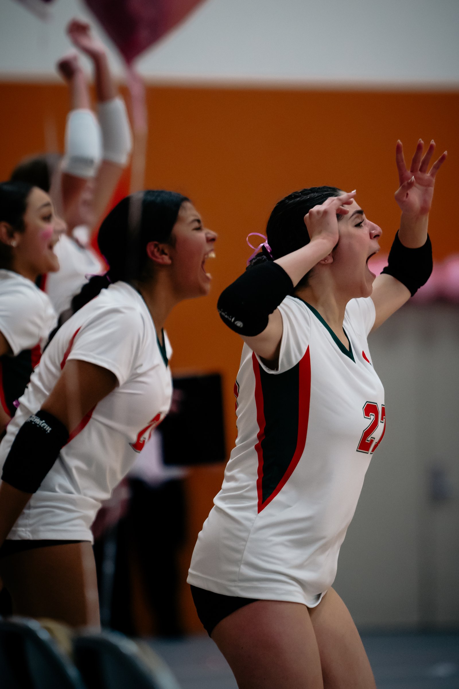 PEHS Girls VB - Dig Pink