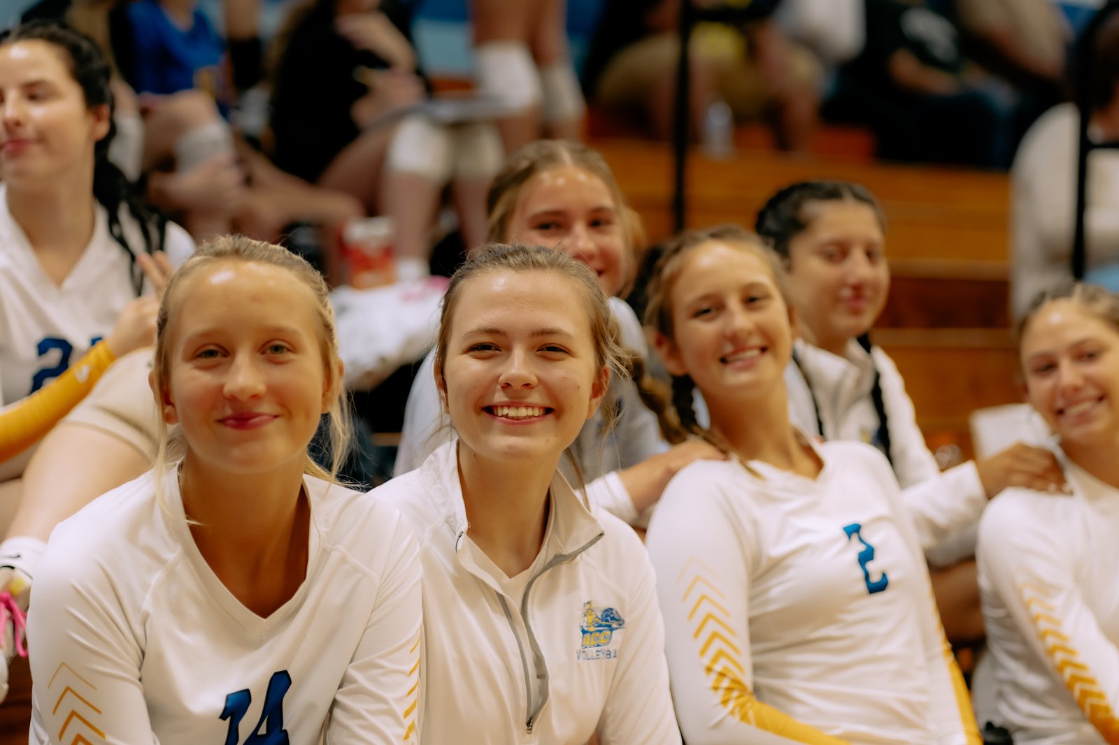 ACC Volleyball at Hinckley-Big Rock