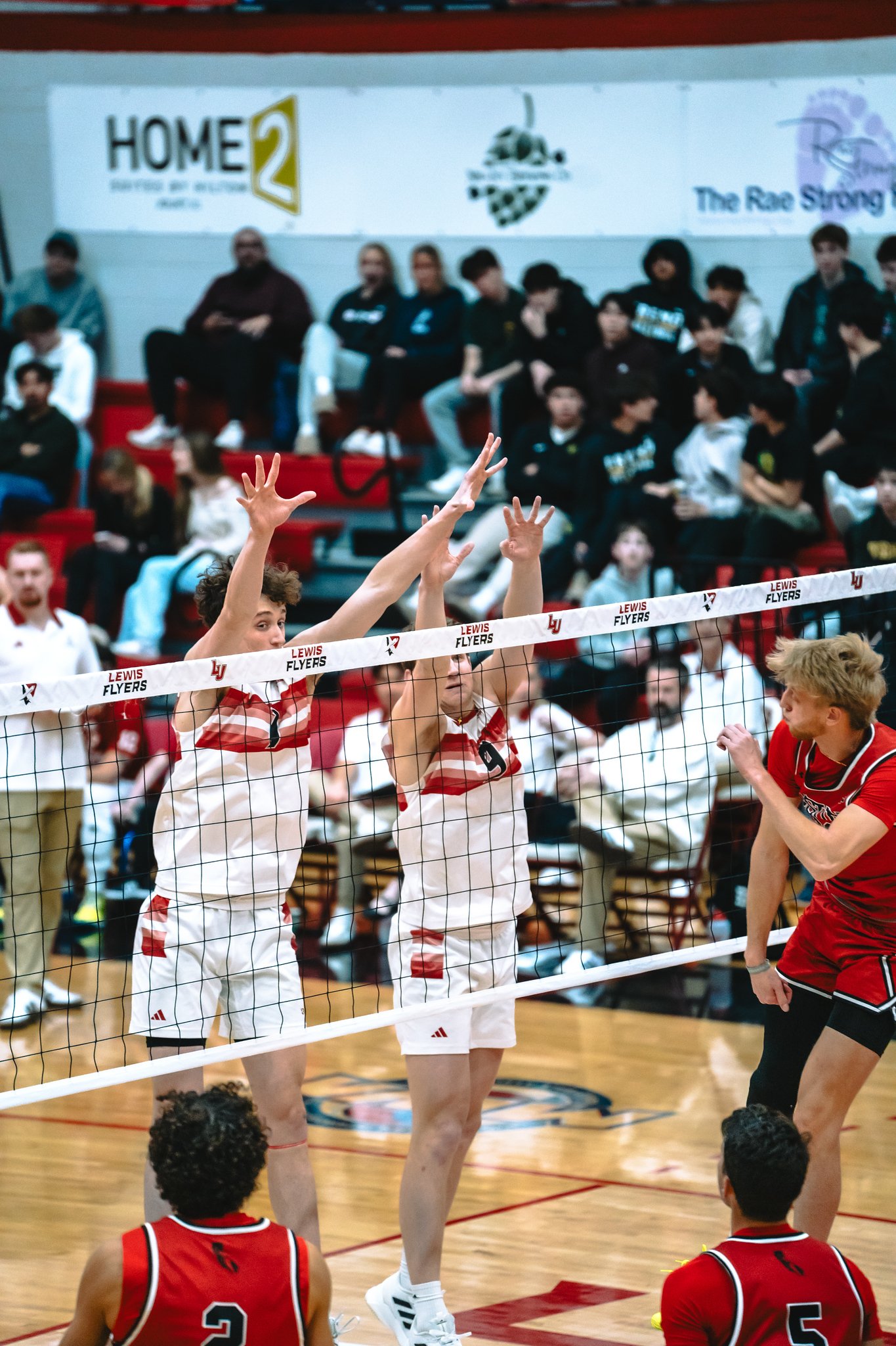 Lewis Flyers vs CSUN