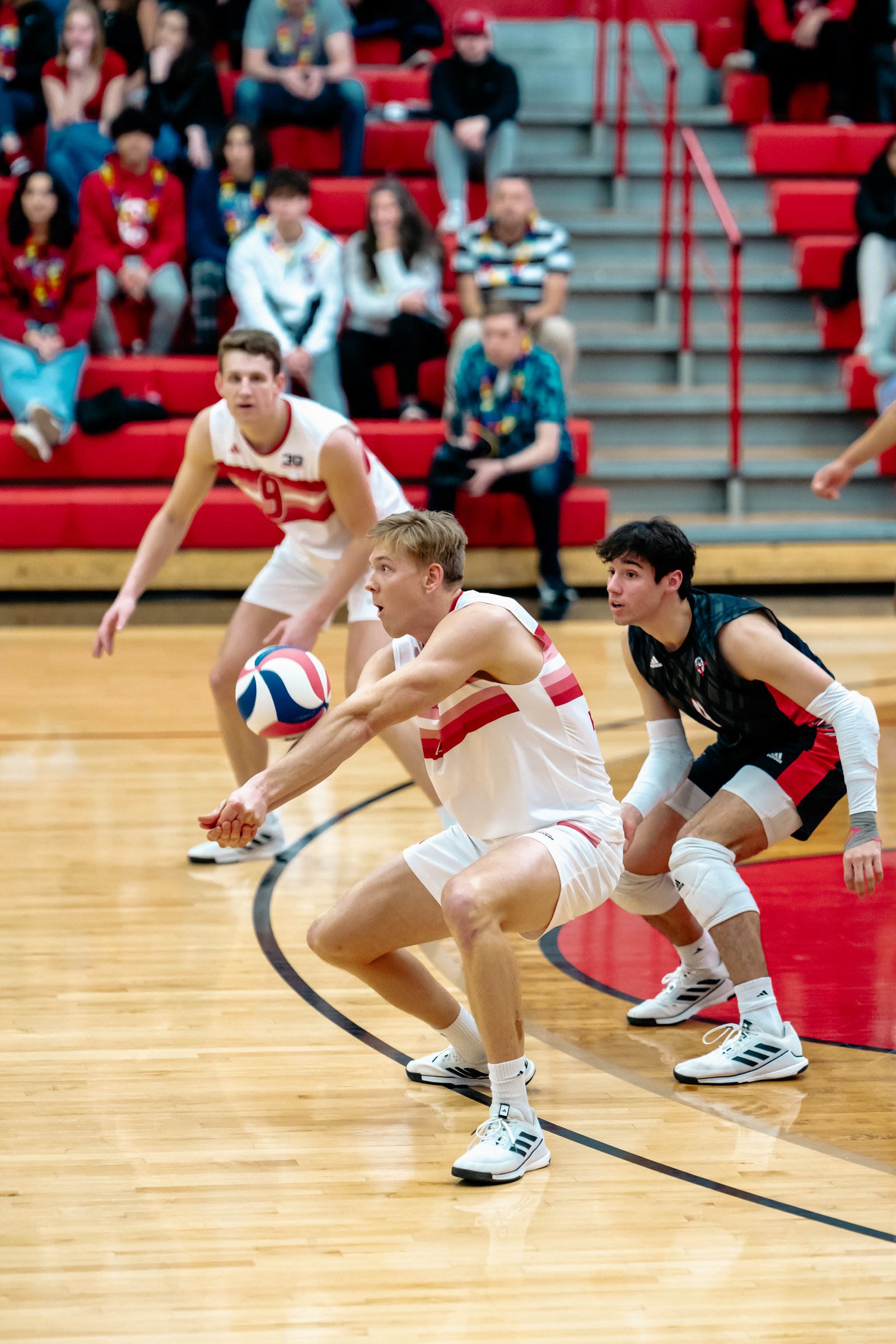 2024 Men's VB - Lewis vs Lindenwood