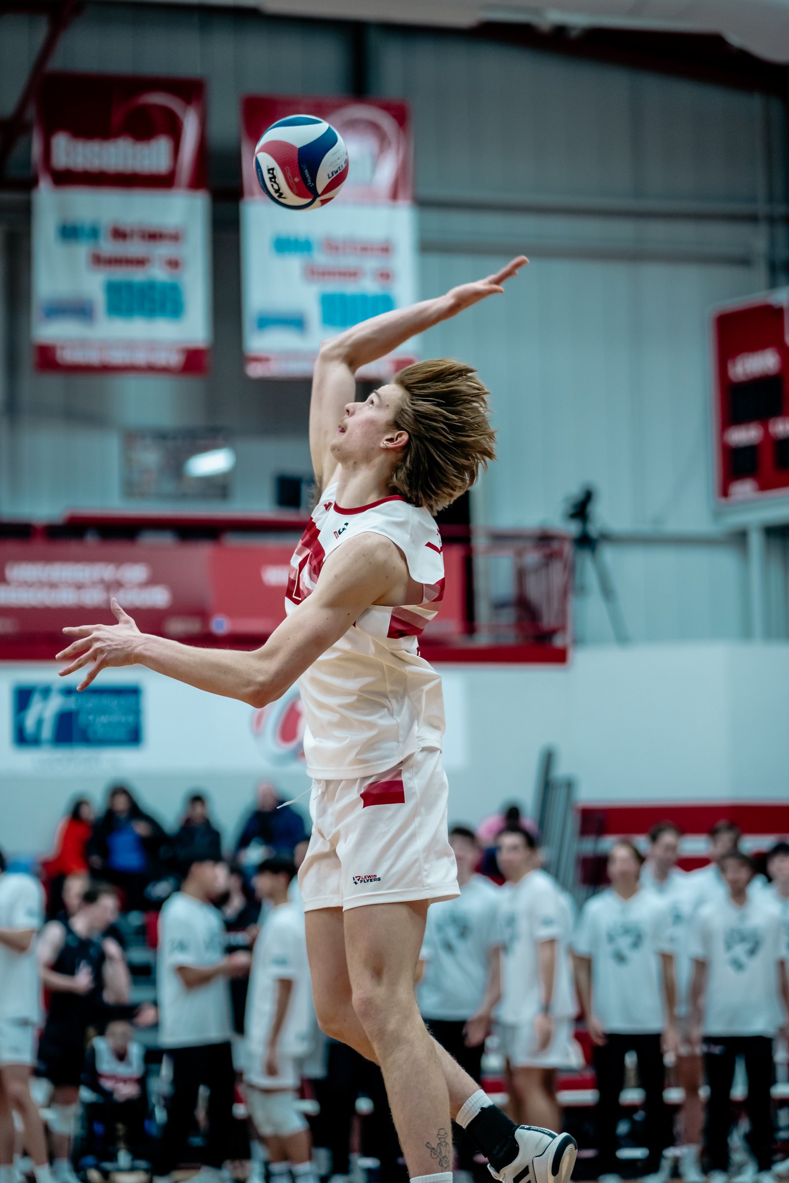2024 Men's VB - Lewis vs Merrimack