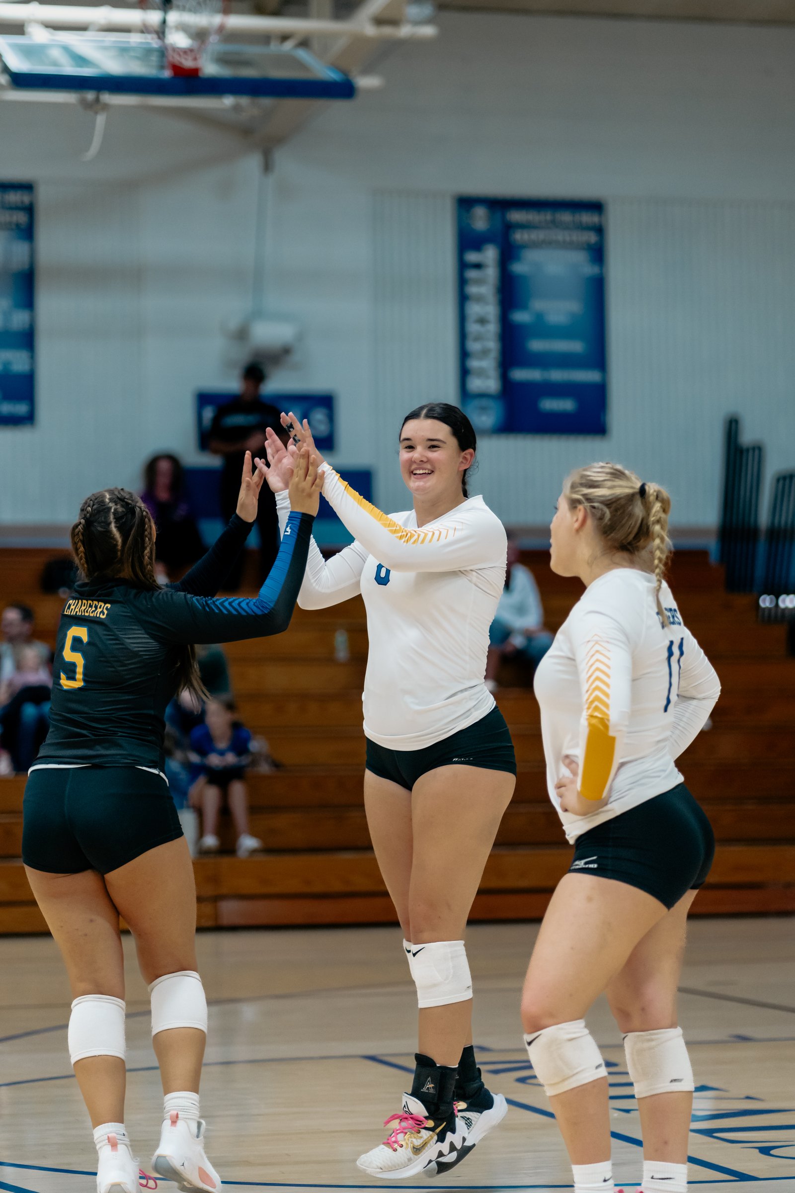 ACC Volleyball at Hinckley-Big Rock