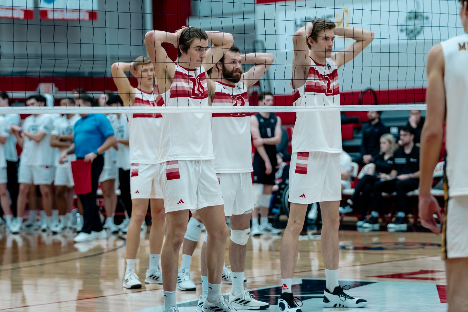 2024 Men's VB - Lewis vs Merrimack