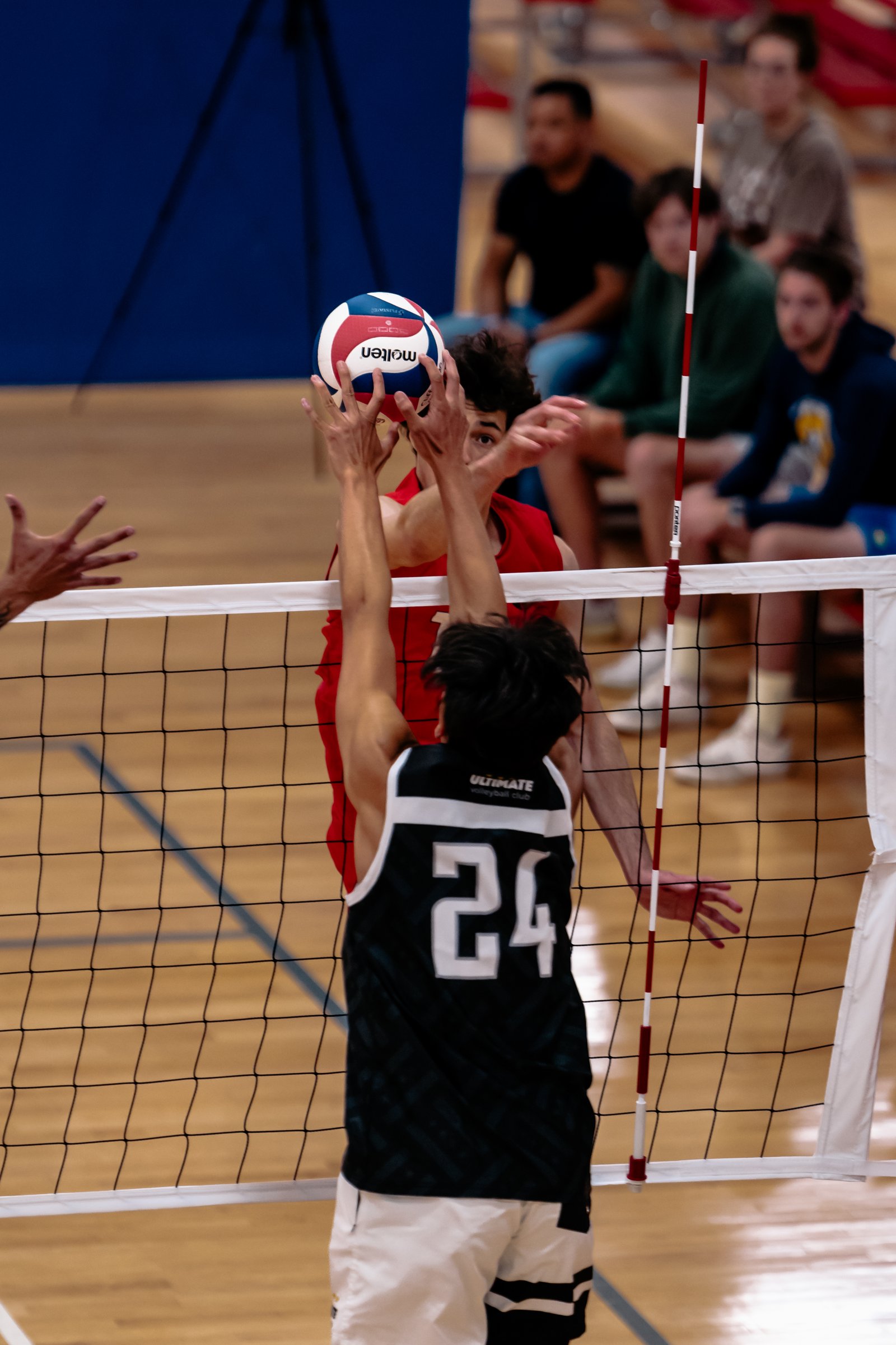 630 BVB - Summer Bash