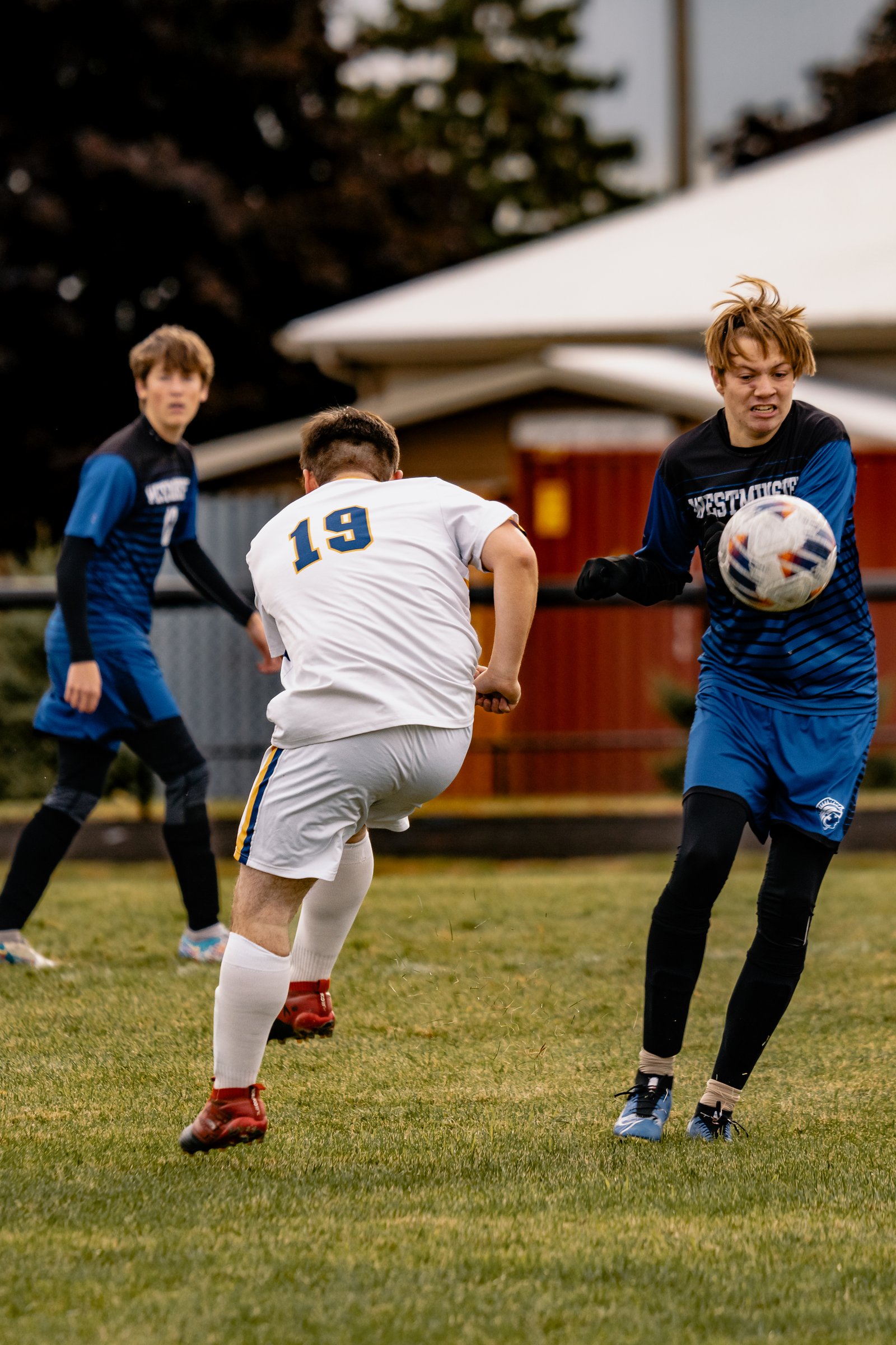 IHSA Regionals (Boys) - Oct 15