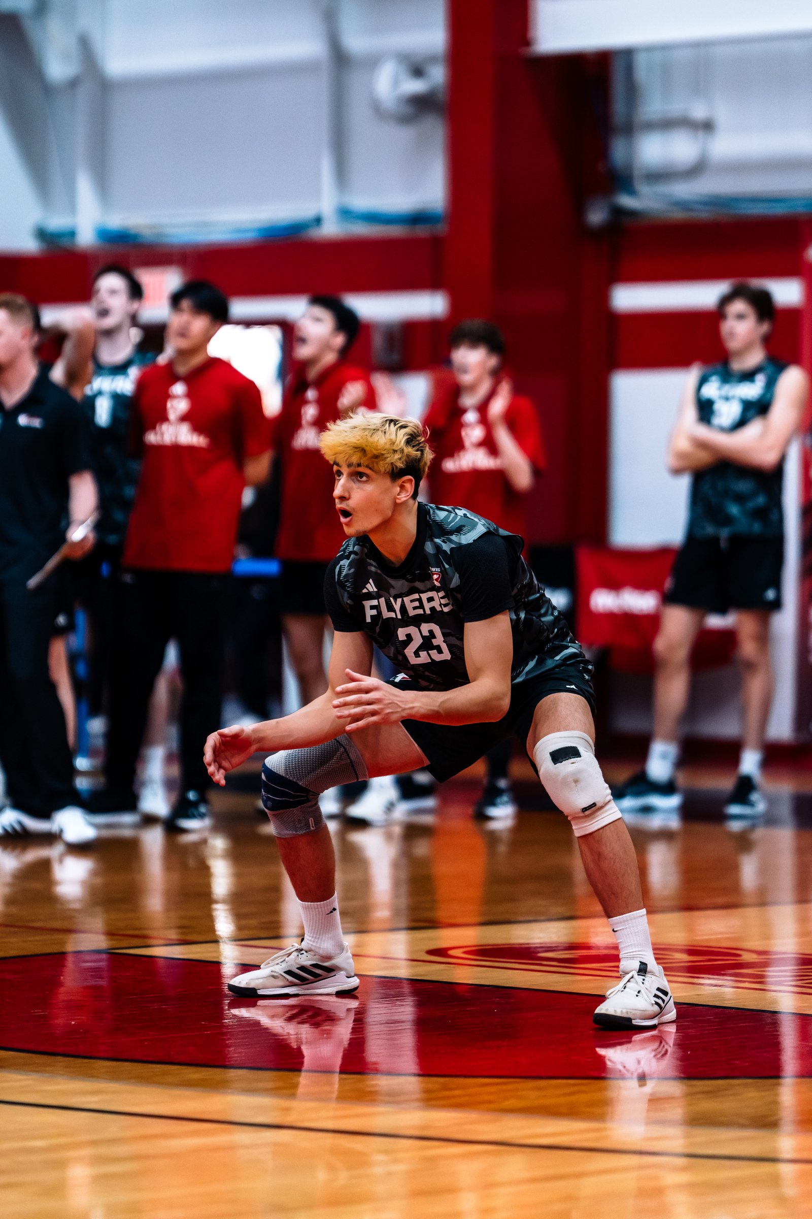 Lewis vs Ohio State - Mar 22