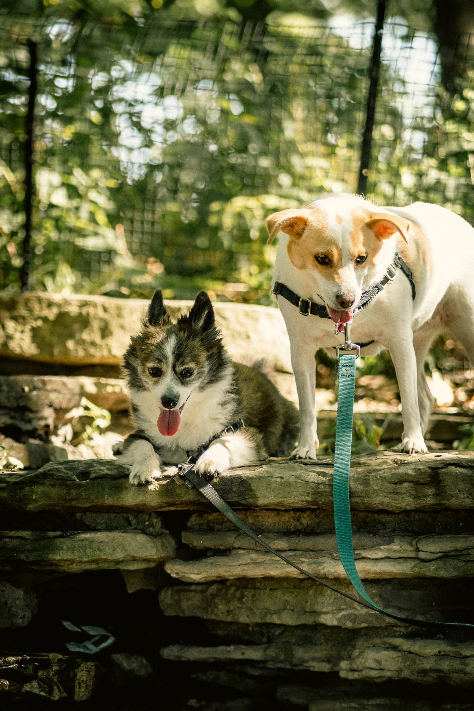 Bruno & Beni - Sep 9