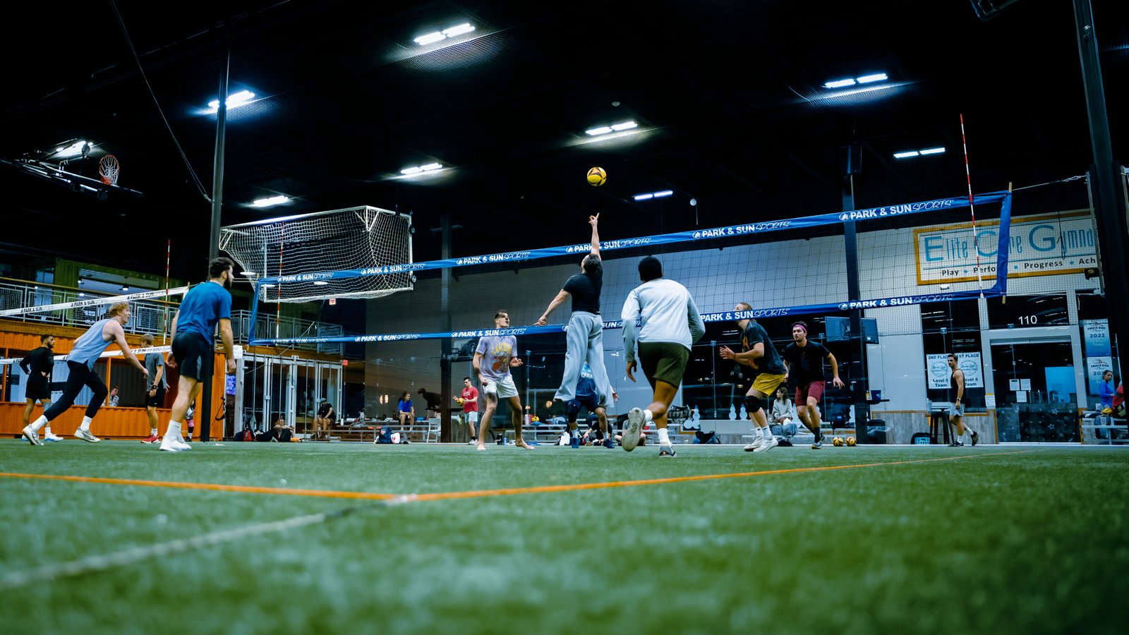 Players Sports Winter Turf Luau
