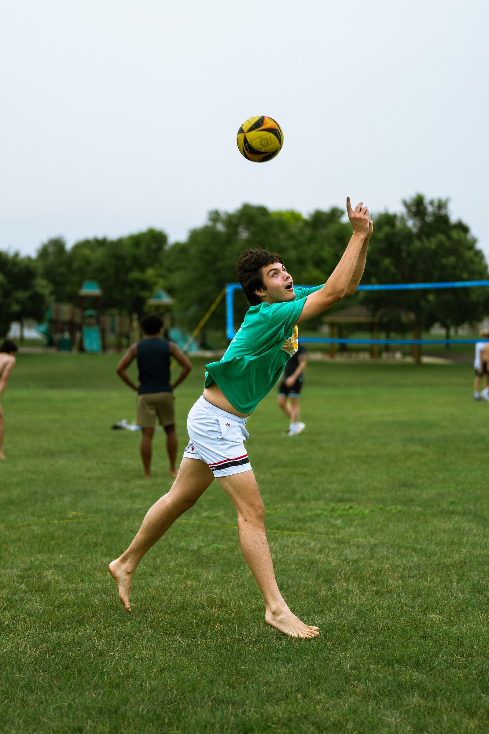 Bell Pepper Open – Official Gallery - Jan 1