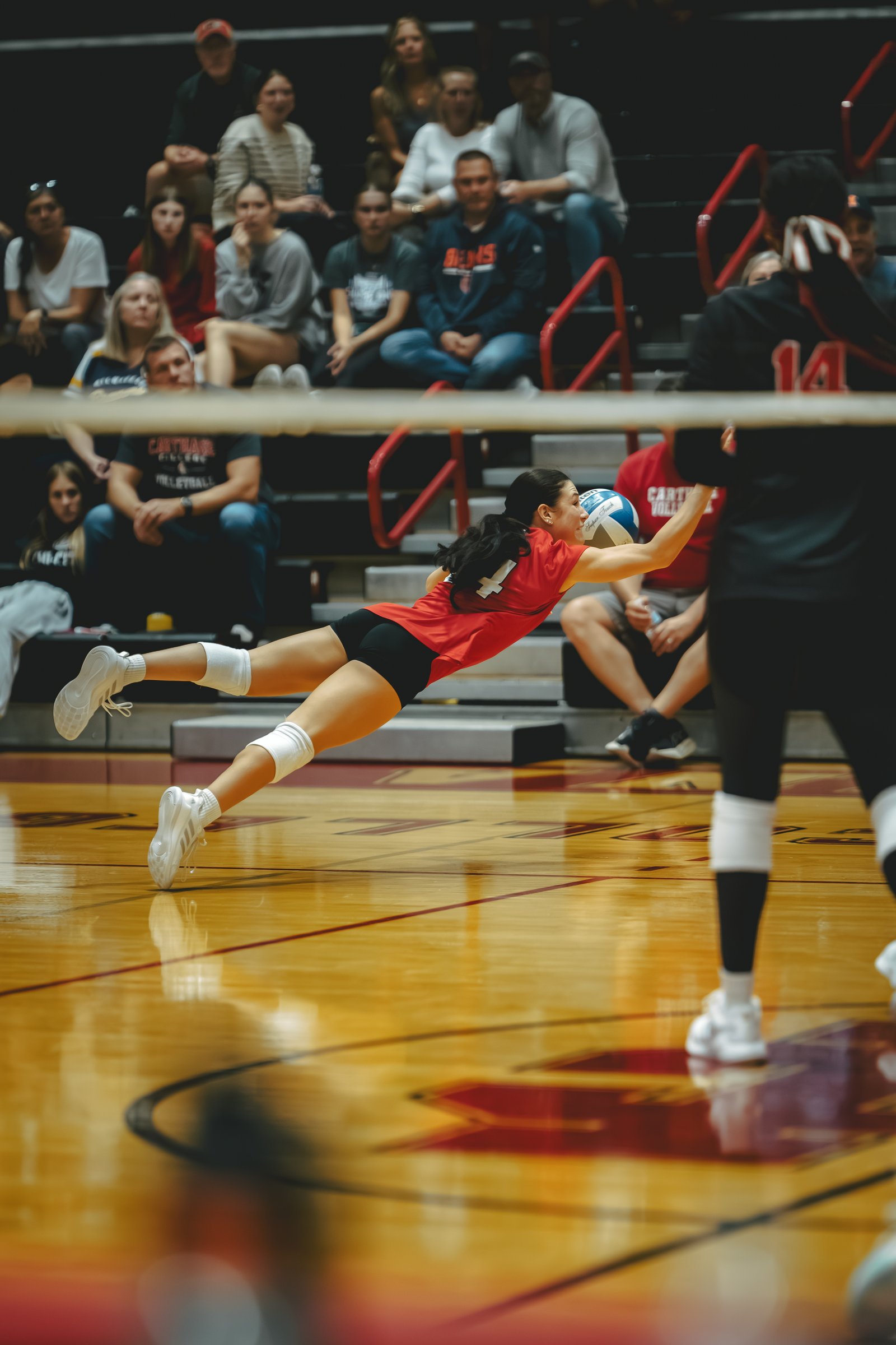 WVB - North Central vs Carthage