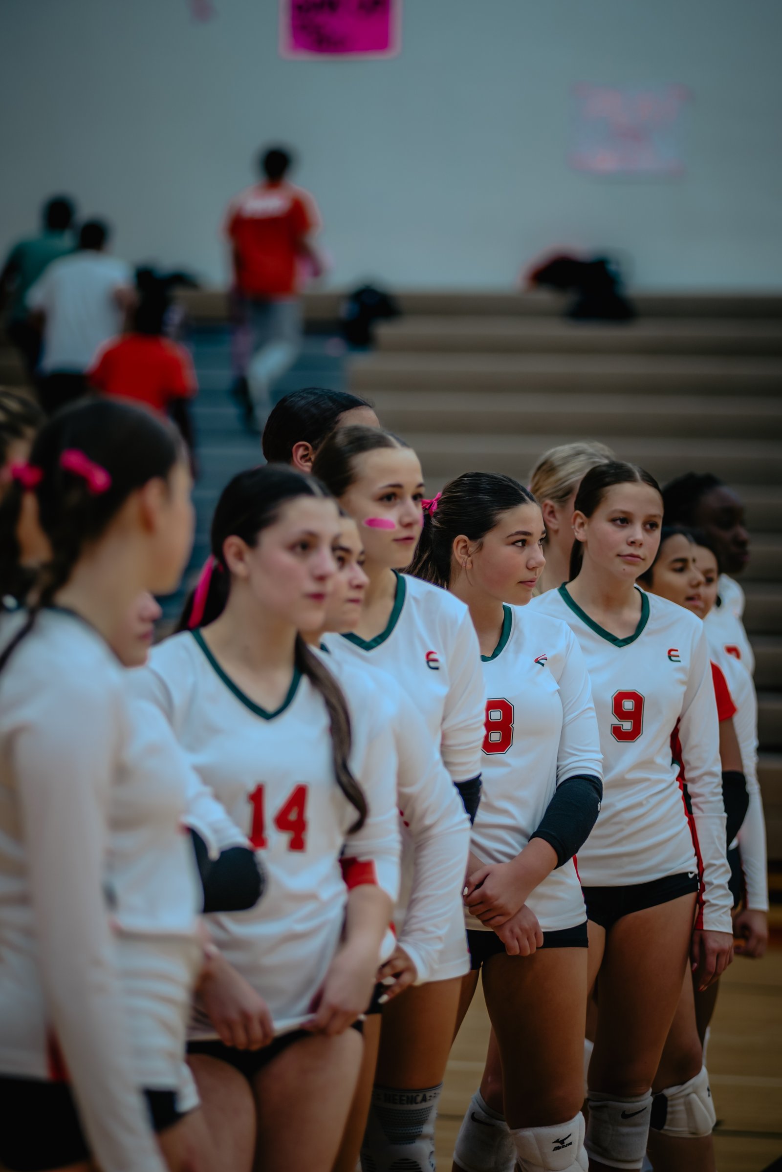 PEHS Girls VB - Dig Pink