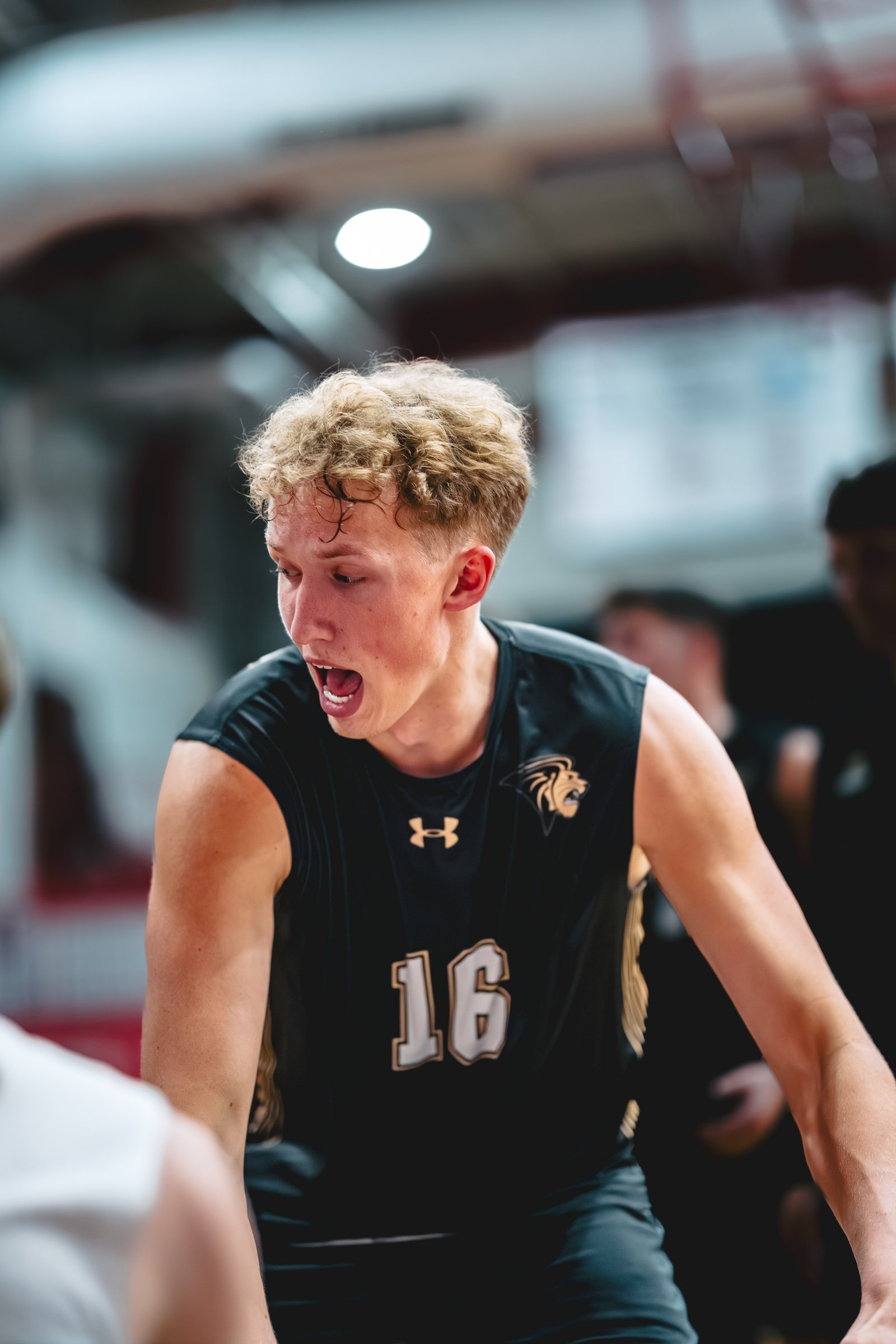 College MVB - Lewis vs Lindenwood - 04-02-2026