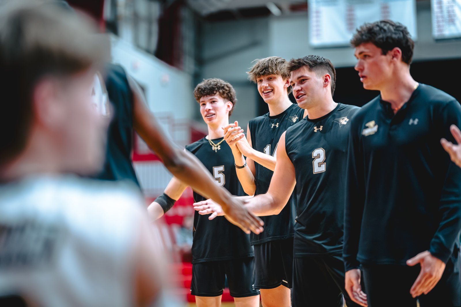 College MVB - Lewis vs Lindenwood - 04-02-2026
