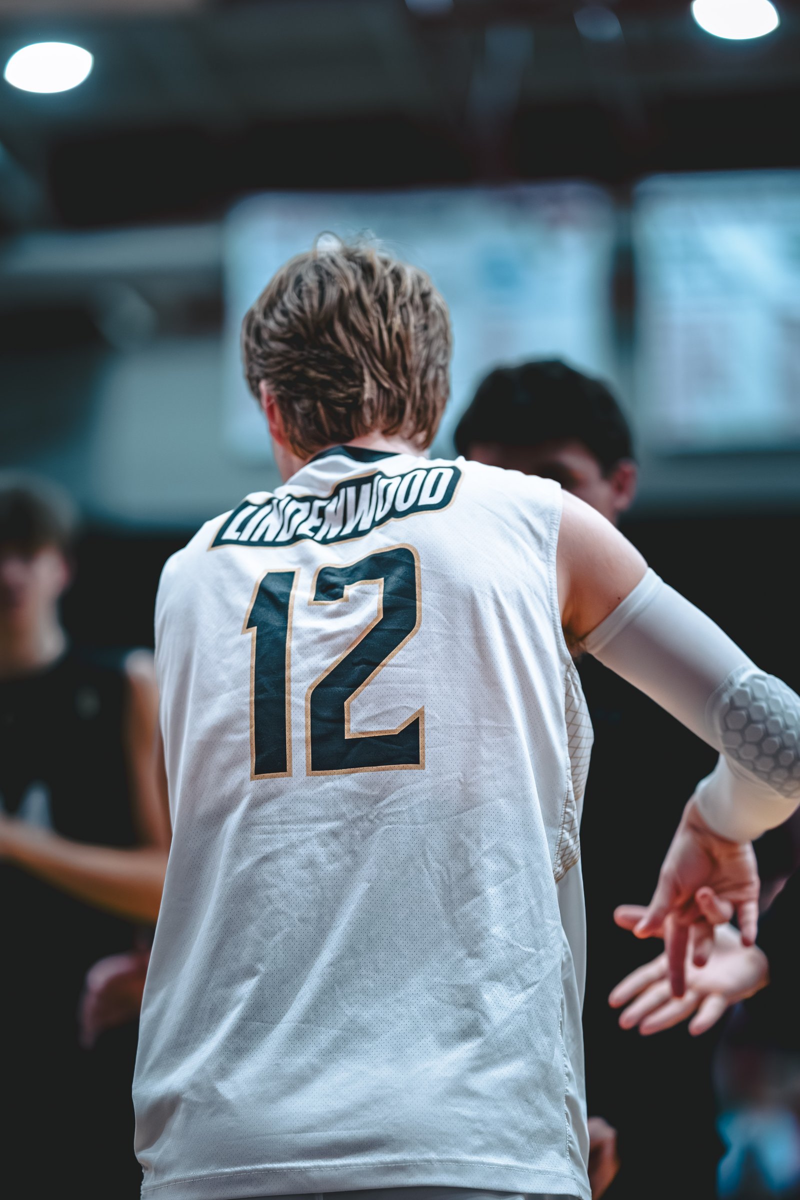 College MVB - Lewis vs Lindenwood - 04-02-2026