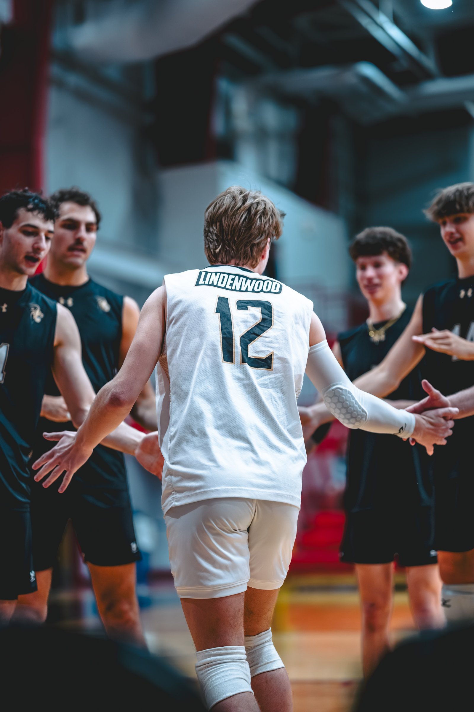 College MVB - Lewis vs Lindenwood - 04-02-2026