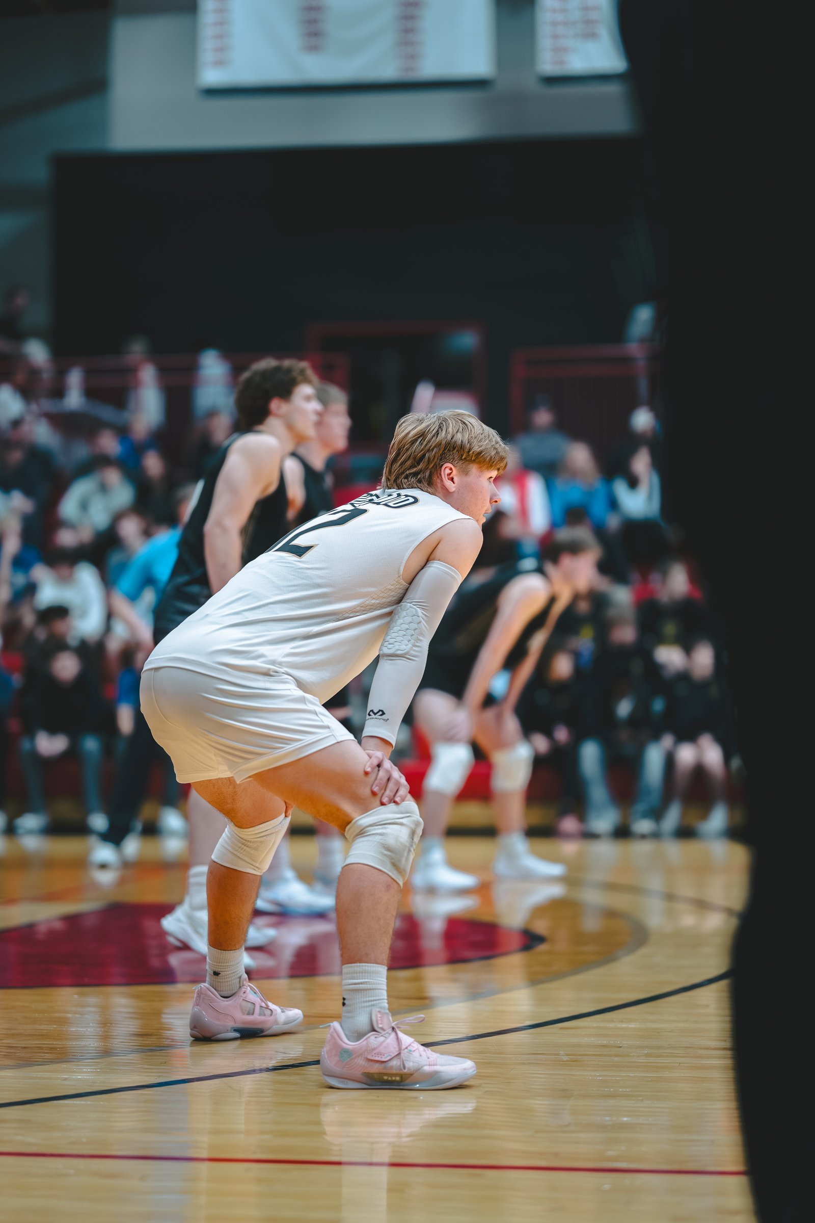 College MVB - Lewis vs Lindenwood - 04-02-2026