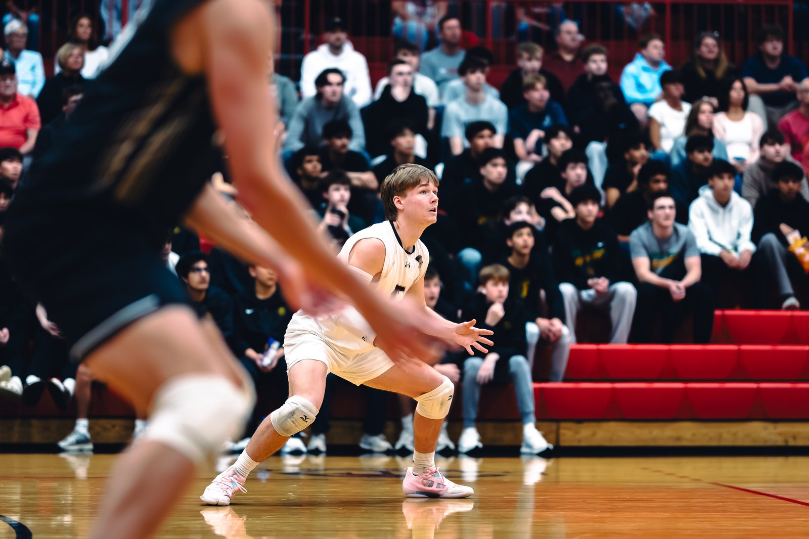 College MVB - Lewis vs Lindenwood - 04-02-2026