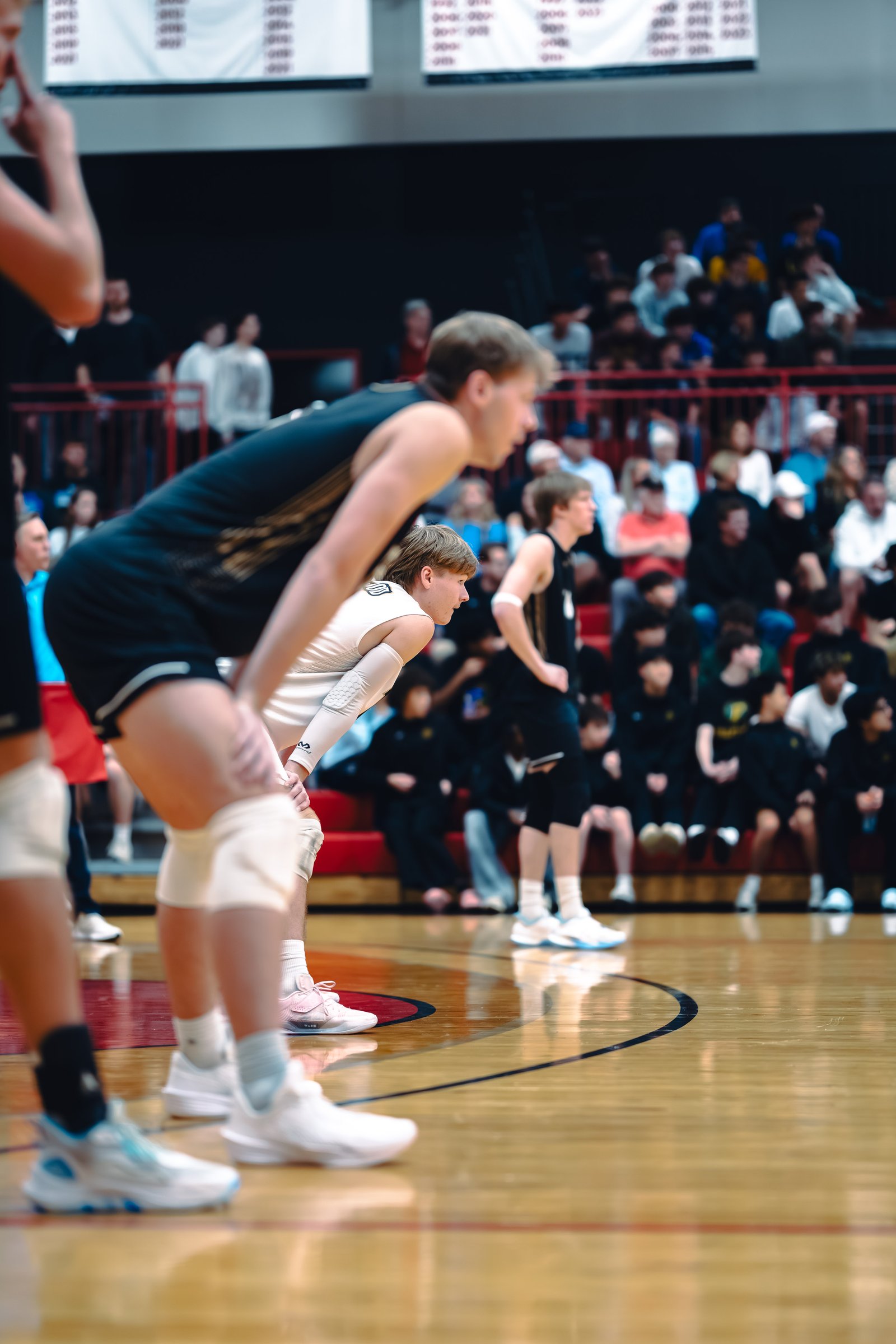 College MVB - Lewis vs Lindenwood - 04-02-2026