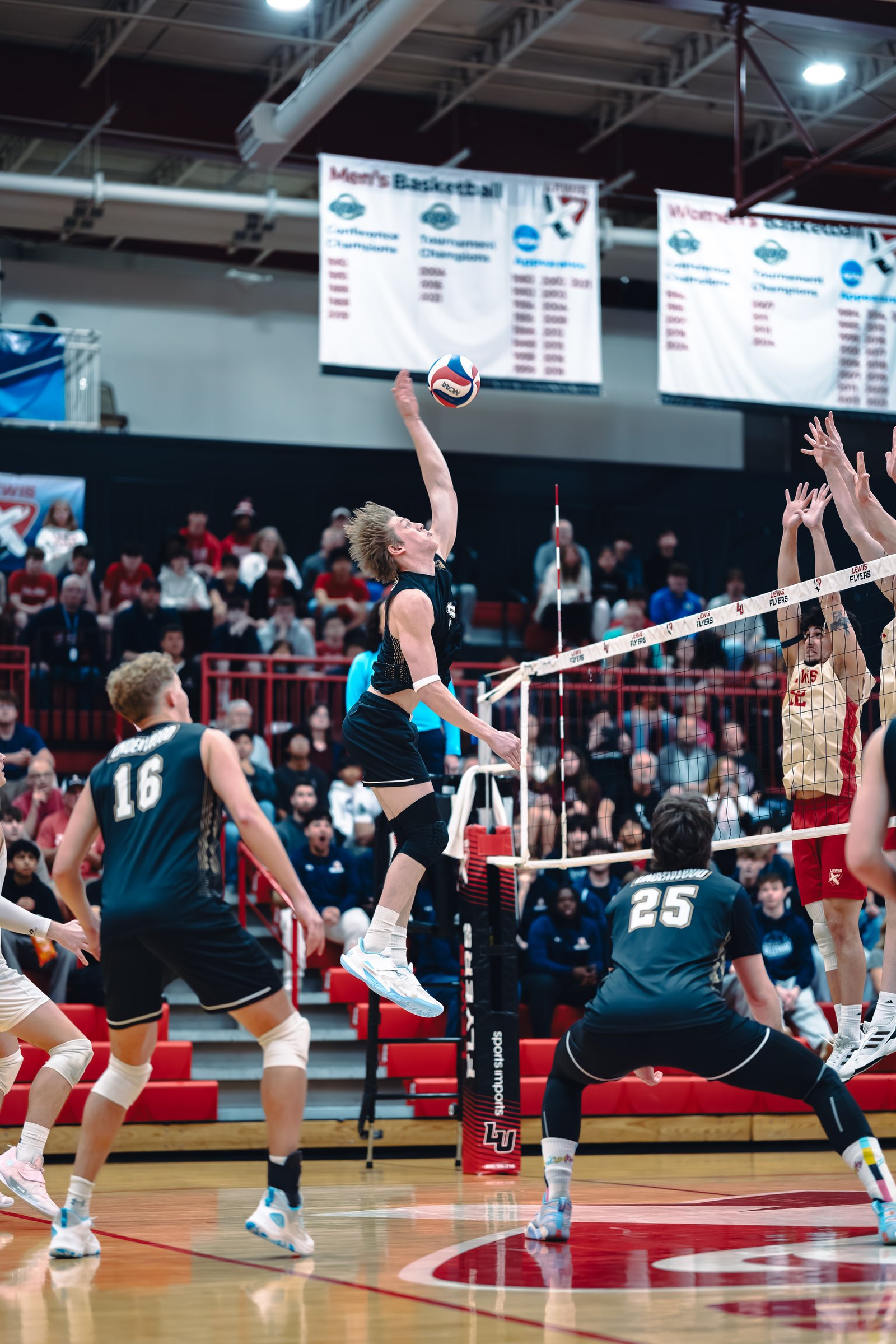 College MVB - Lewis vs Lindenwood - 04-02-2026