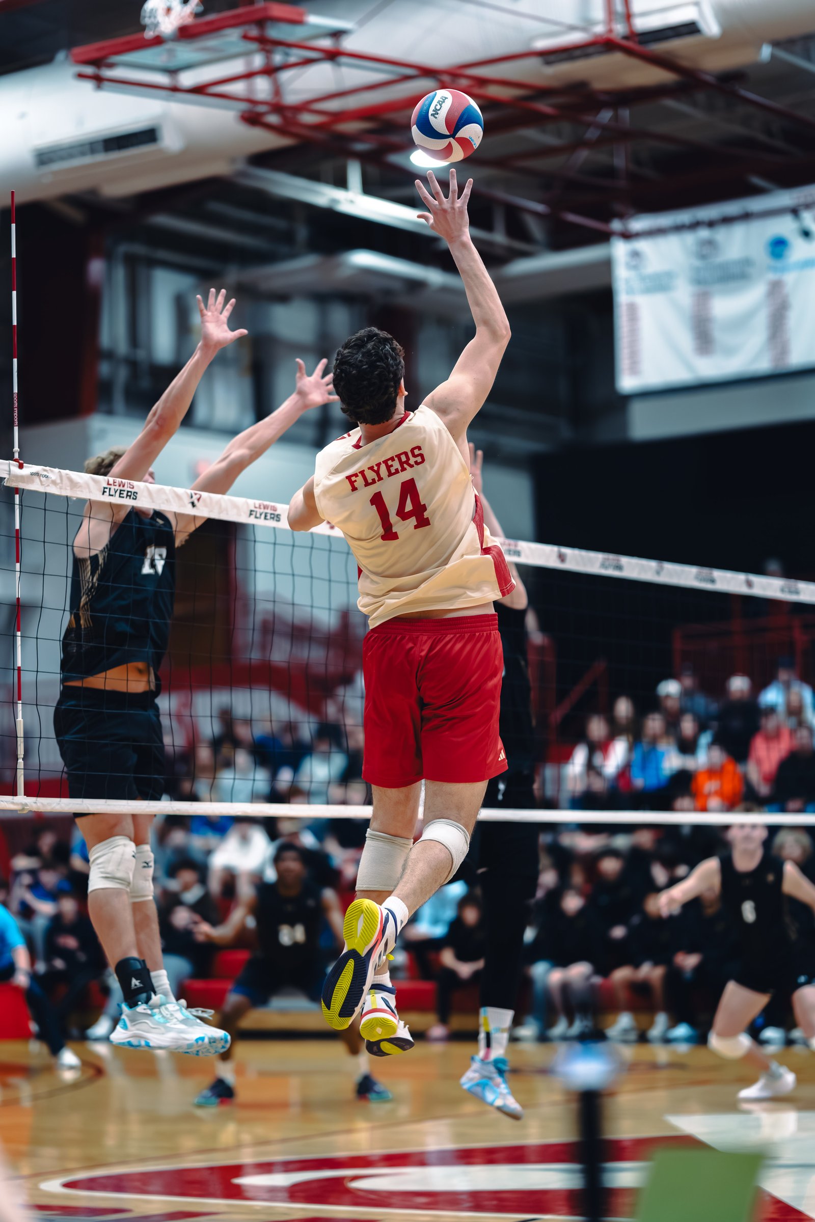 College MVB - Lewis vs Lindenwood - 04-02-2026