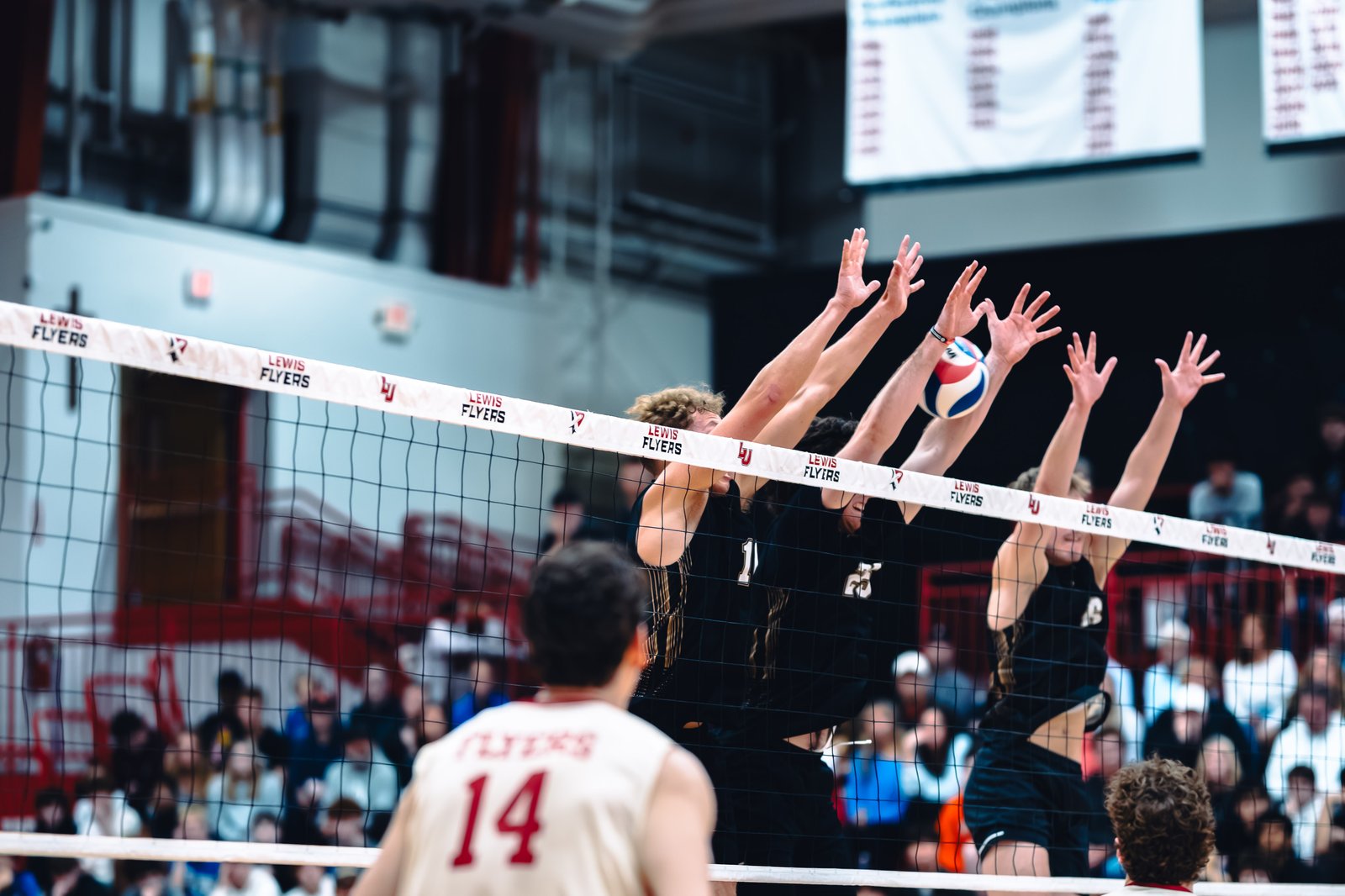 College MVB - Lewis vs Lindenwood - 04-02-2026