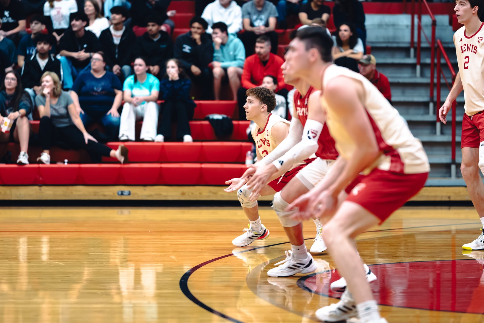 College MVB - Lewis vs Lindenwood - 04-02-2026