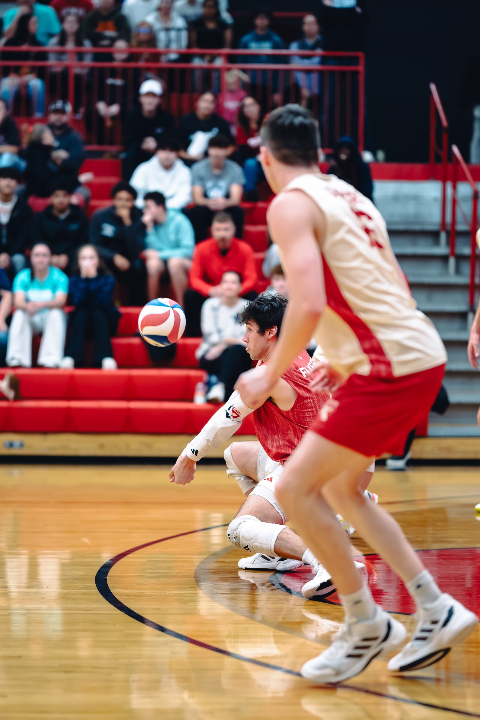 College MVB - Lewis vs Lindenwood - 04-02-2026
