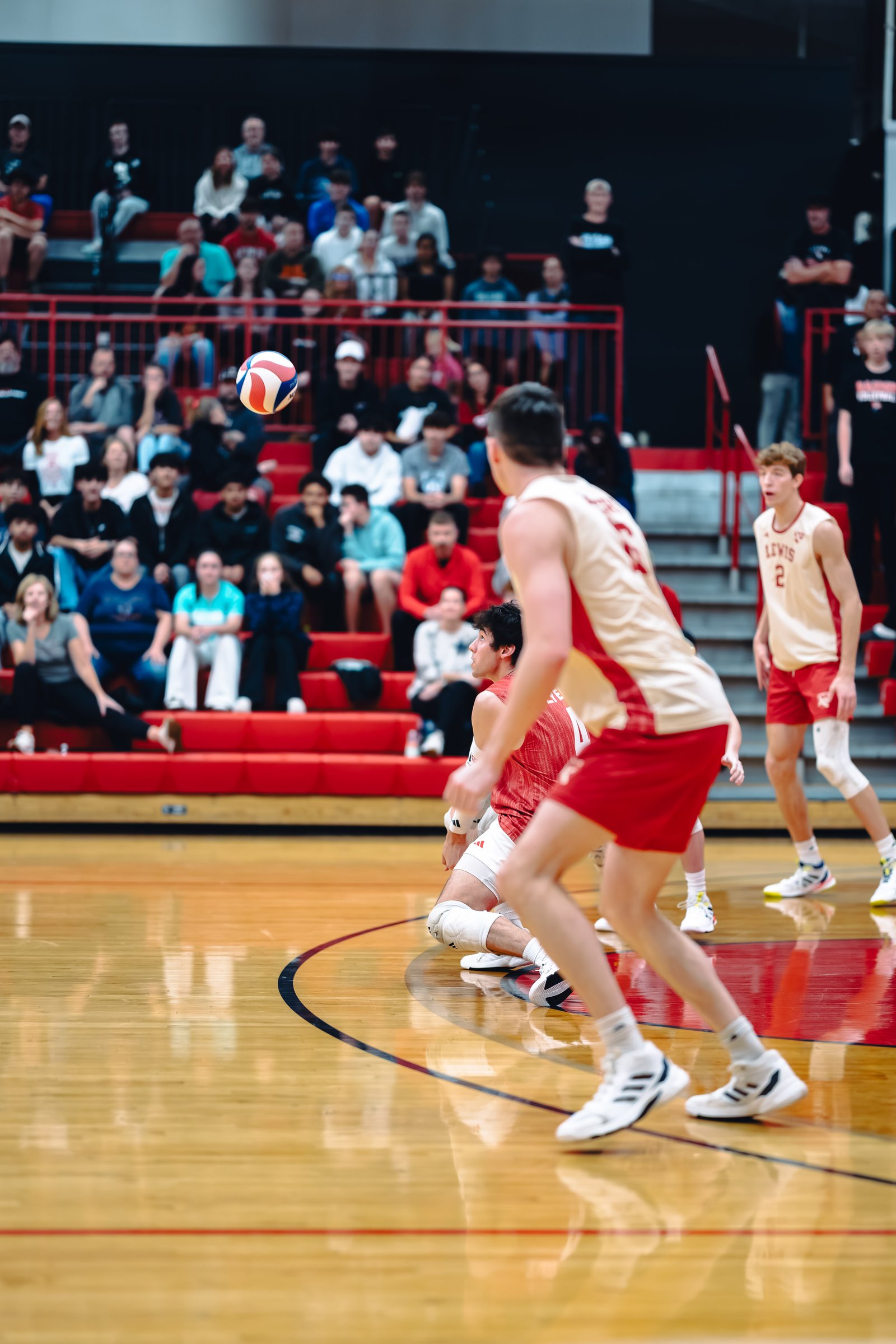 College MVB - Lewis vs Lindenwood - 04-02-2026