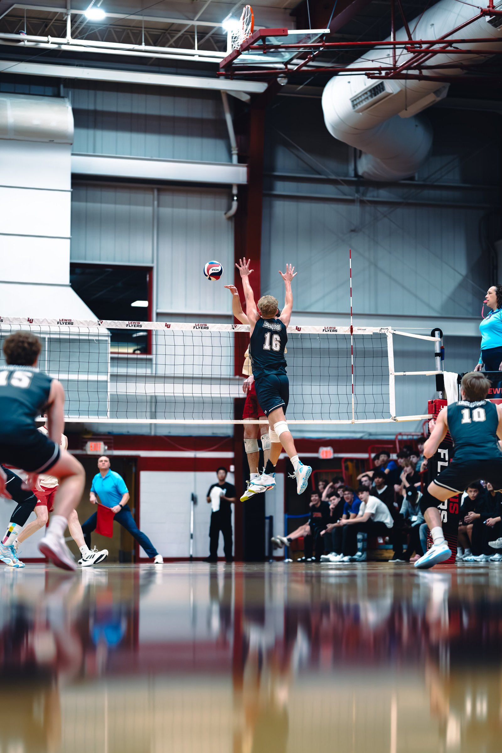 College MVB - Lewis vs Lindenwood - 04-02-2026