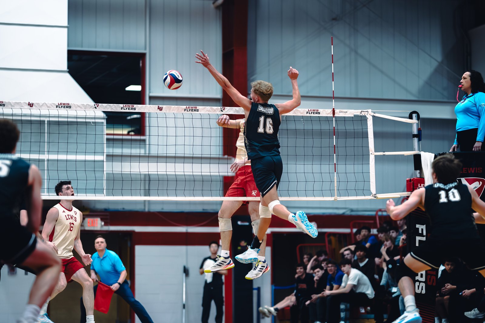 College MVB - Lewis vs Lindenwood - 04-02-2026