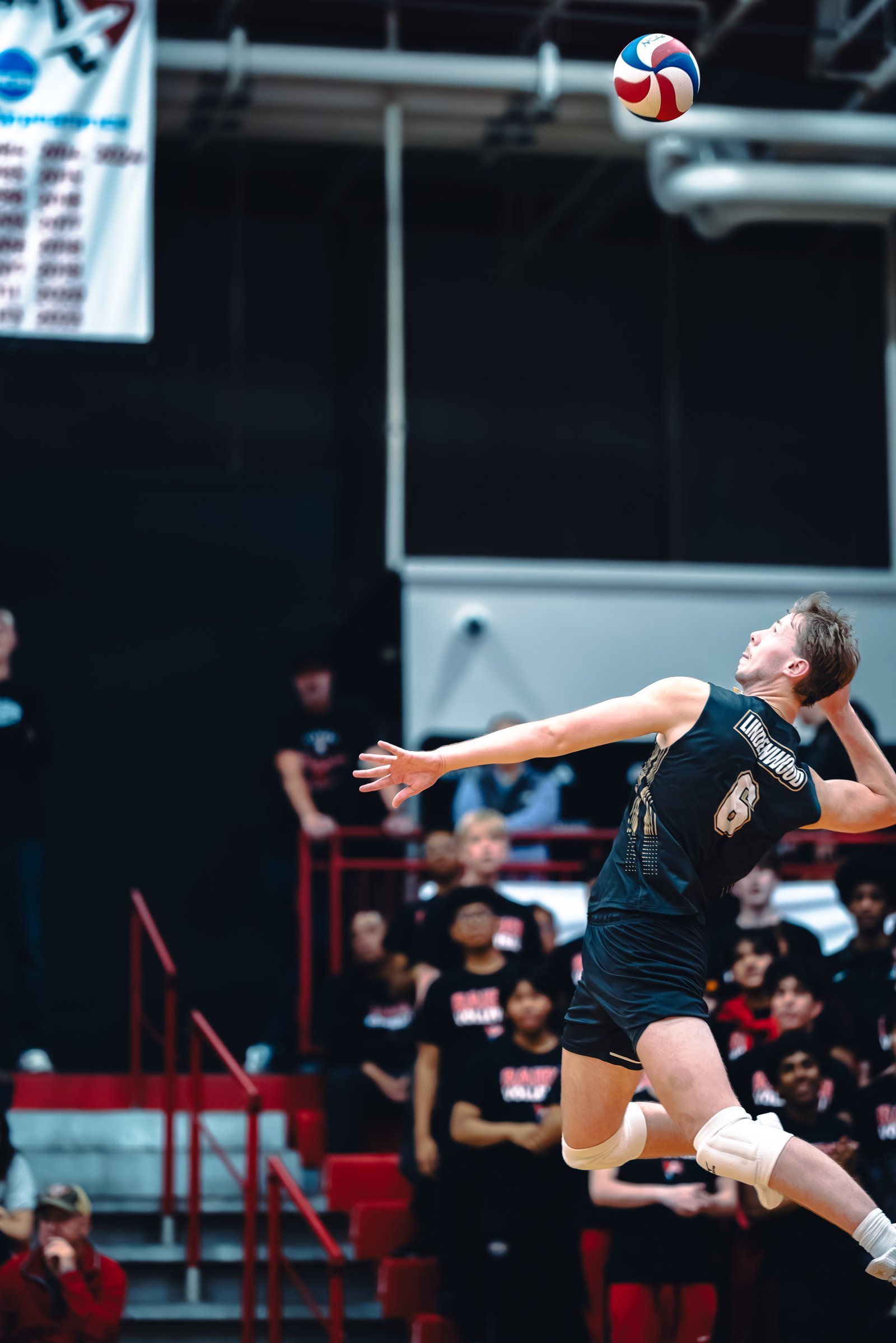 College MVB - Lewis vs Lindenwood - 04-02-2026