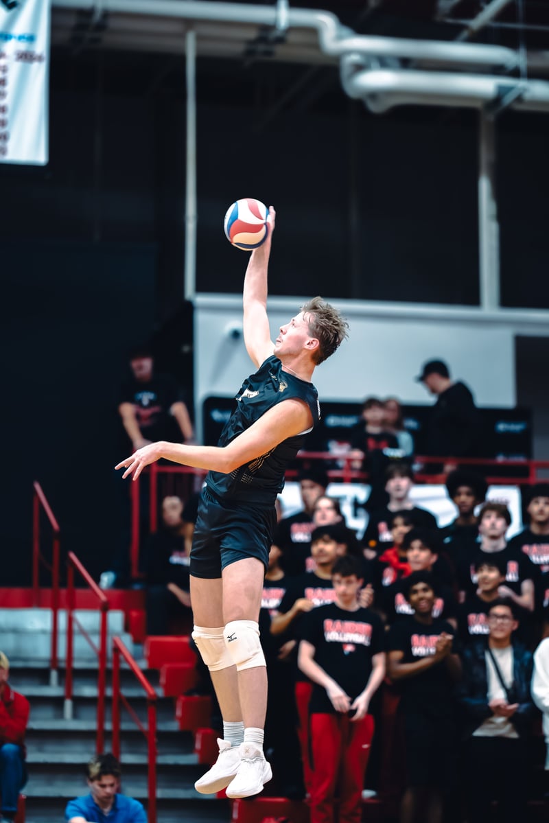 College MVB - Lewis vs Lindenwood - 04-02-2026 cover