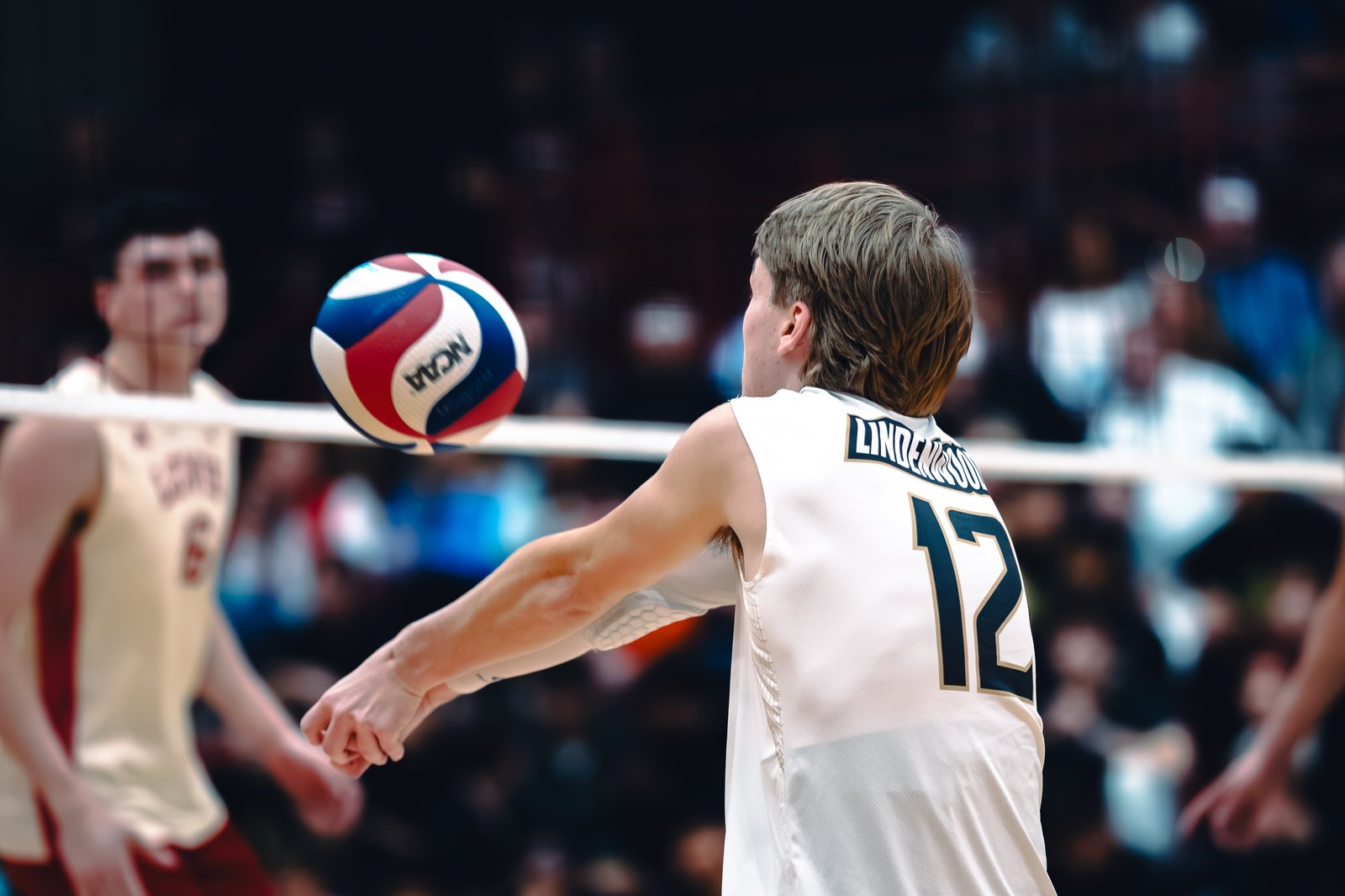 College MVB - Lewis vs Lindenwood - 04-02-2026