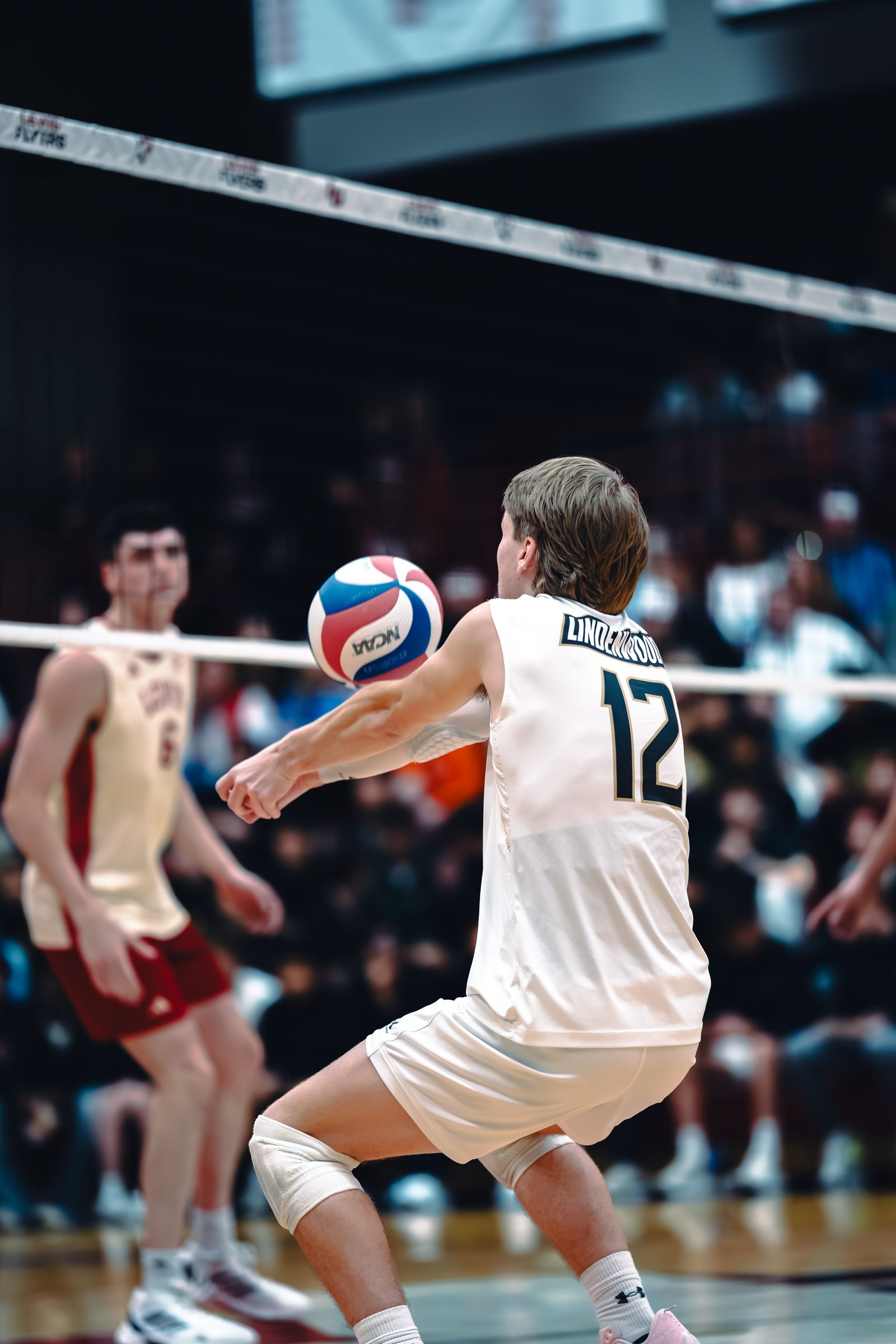 College MVB - Lewis vs Lindenwood - 04-02-2026
