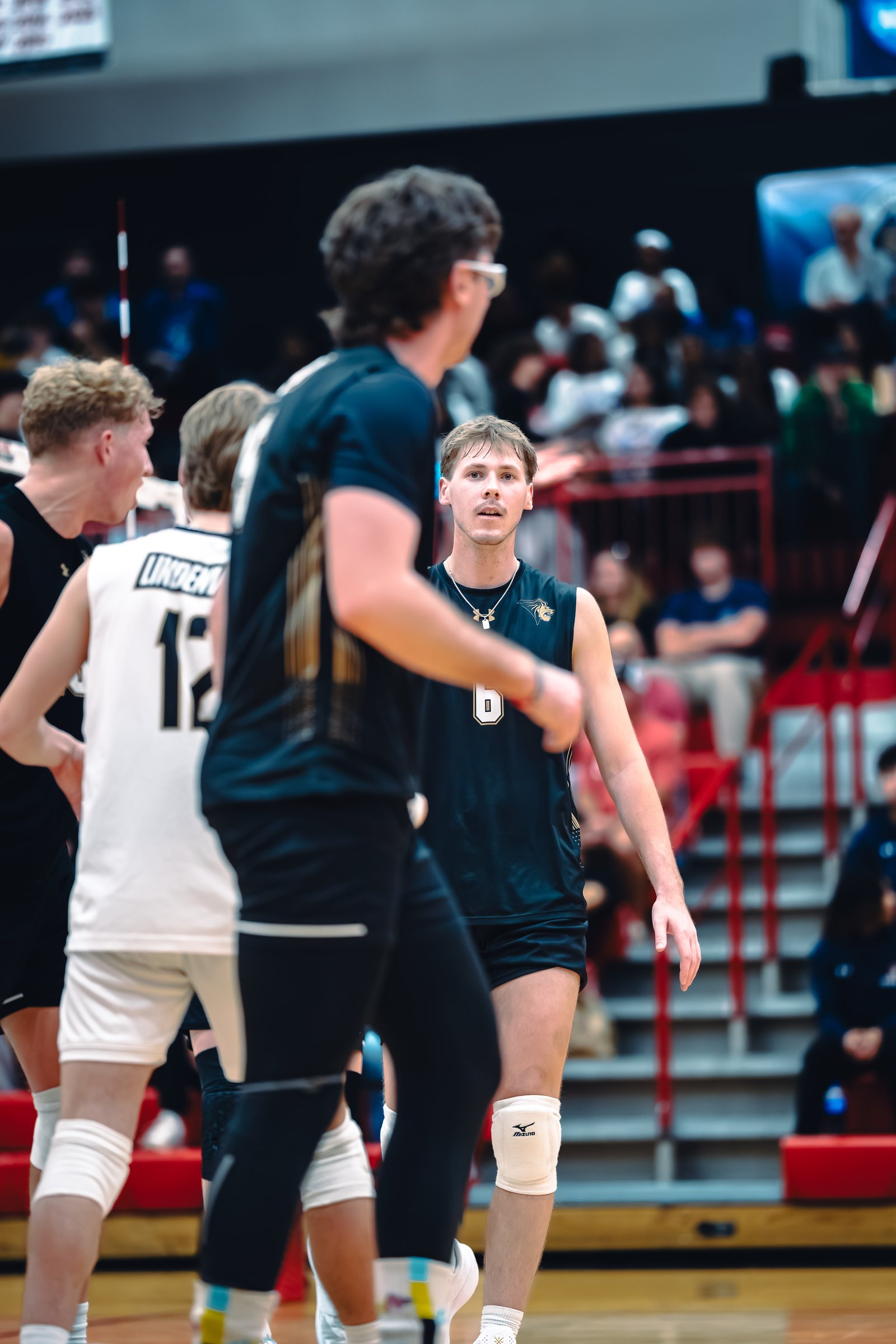 College MVB - Lewis vs Lindenwood - 04-02-2026