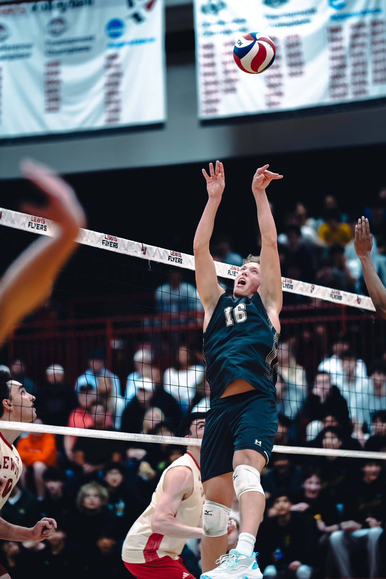 College MVB - Lewis vs Lindenwood - 04-02-2026